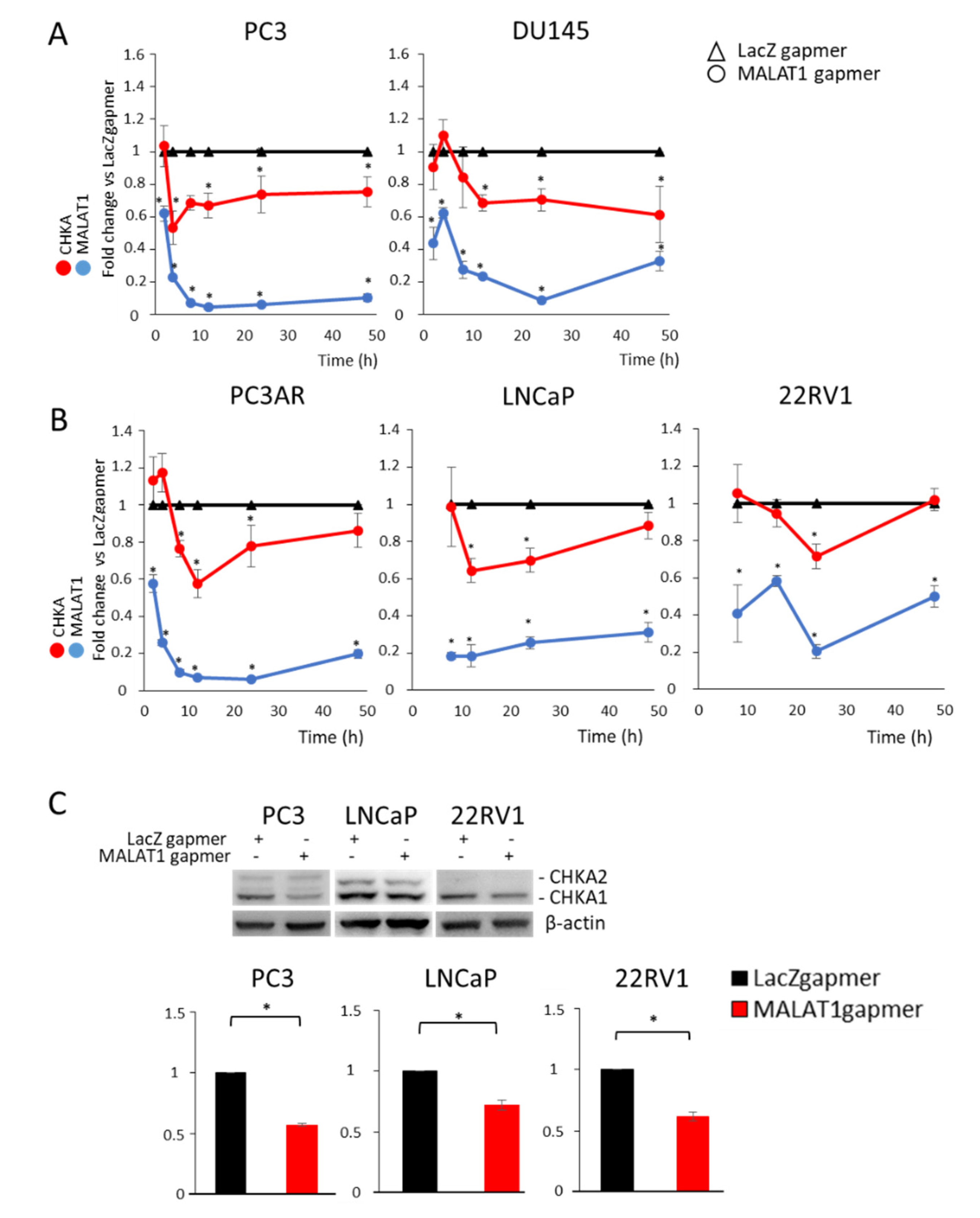 Cancers 14 02902 g002 550