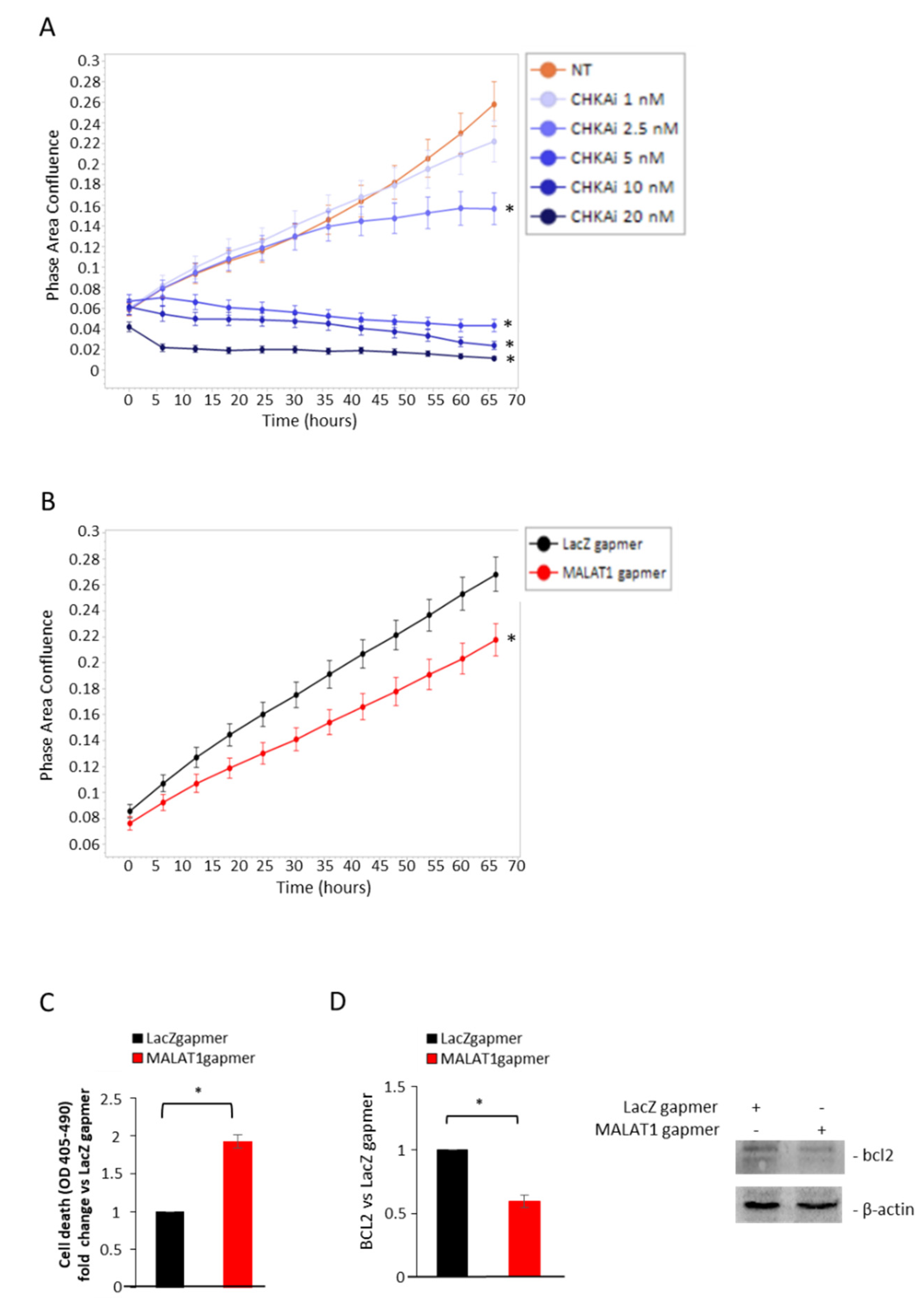 Cancers 14 02902 g003 550