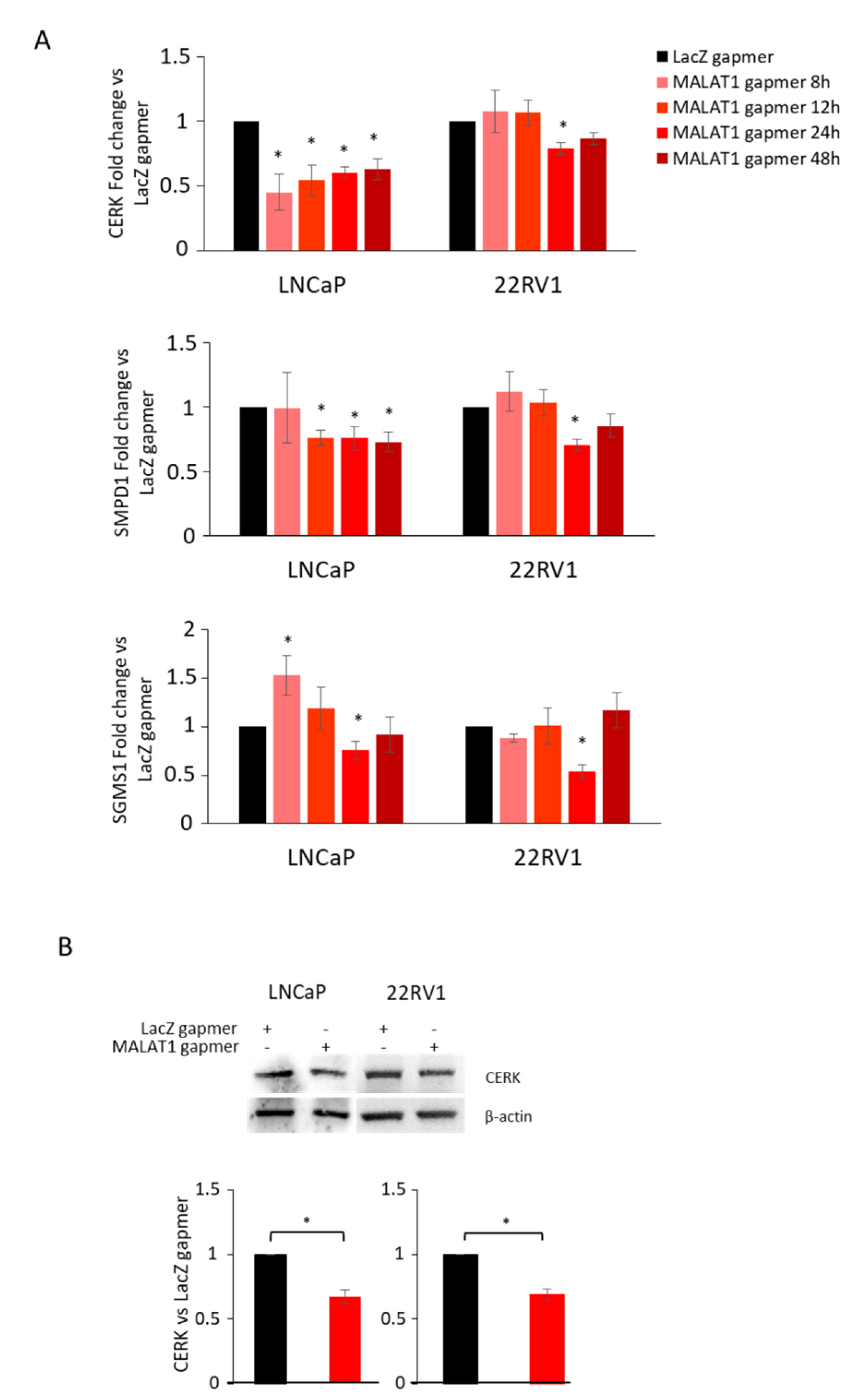 Cancers 14 02902 g005 550