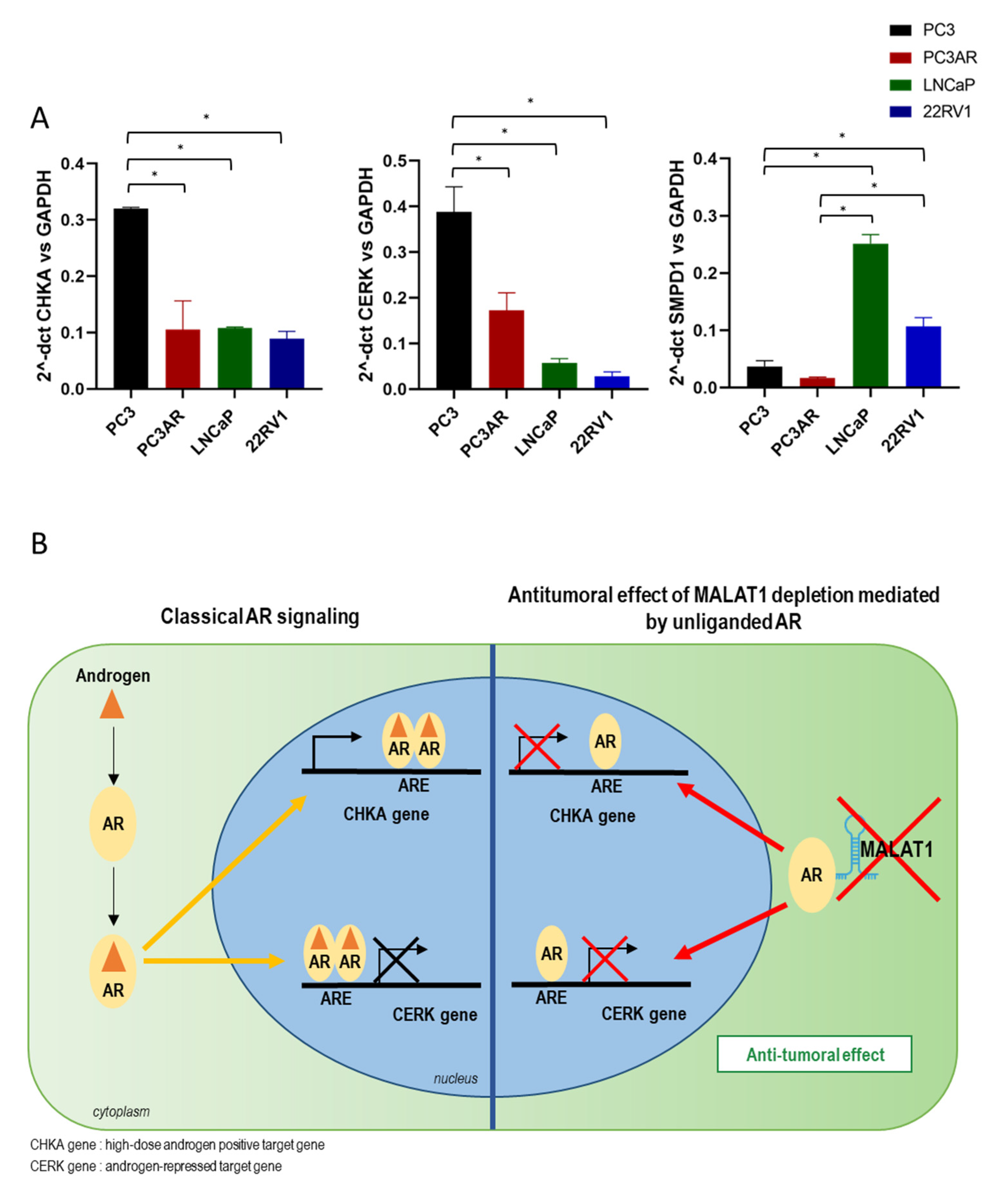 Cancers 14 02902 g008 550
