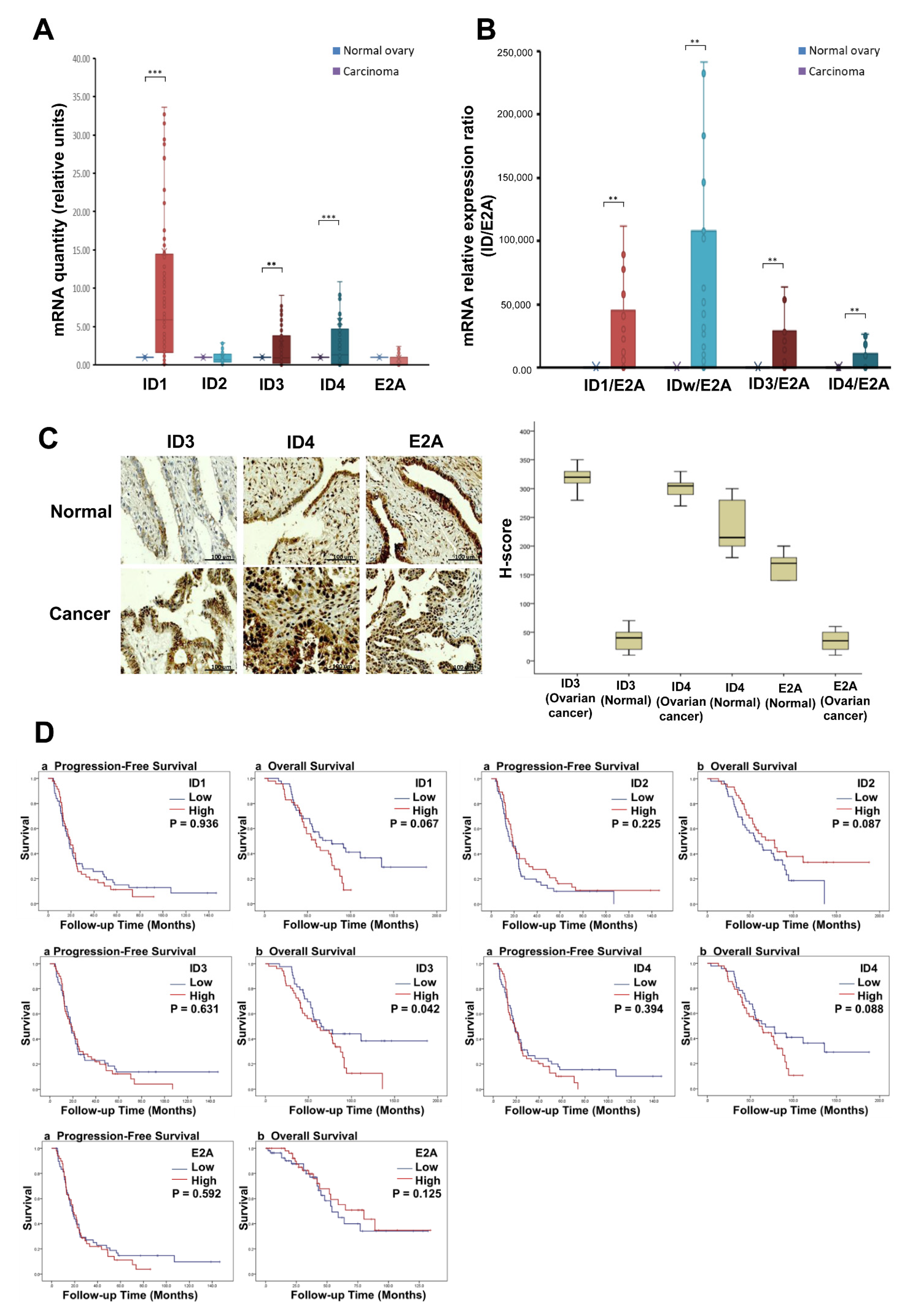 Cancers 14 02903 g003
