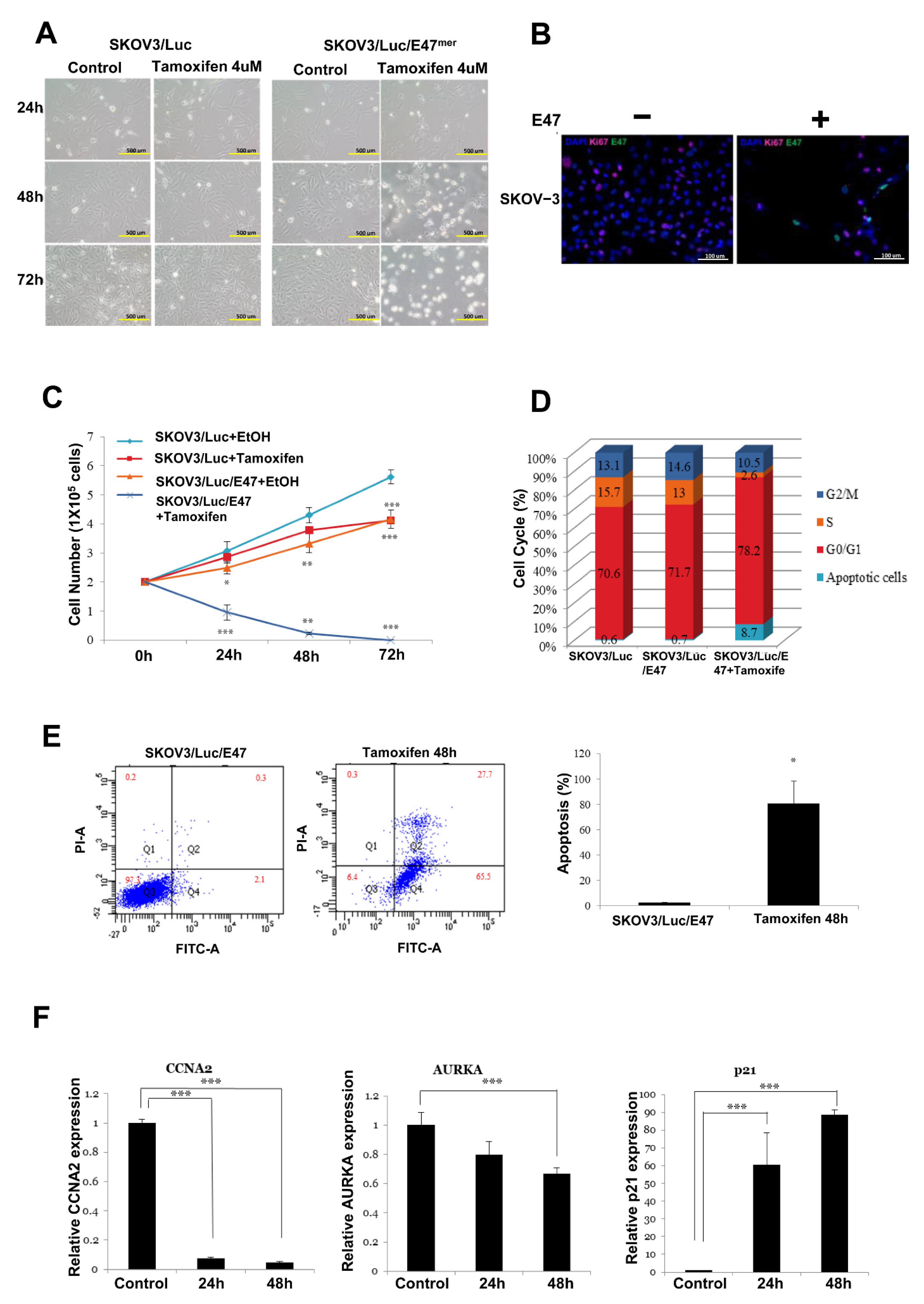 Cancers 14 02903 g004