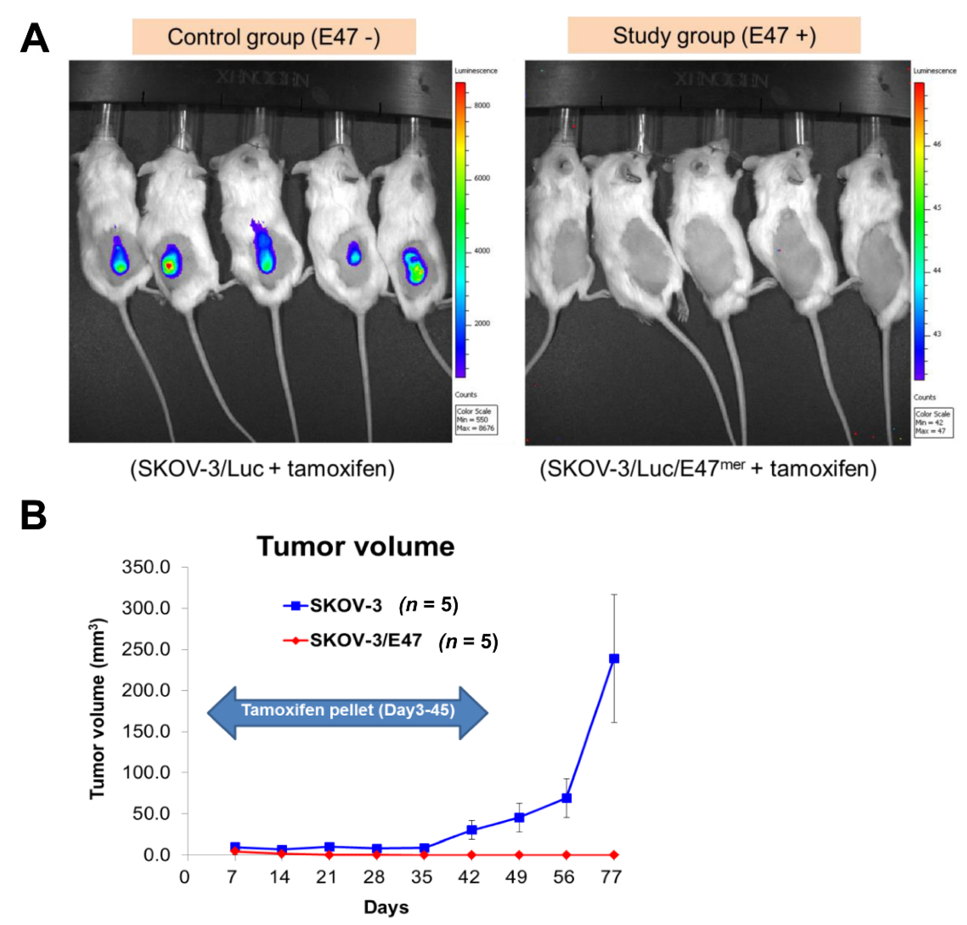 Cancers 14 02903 g005