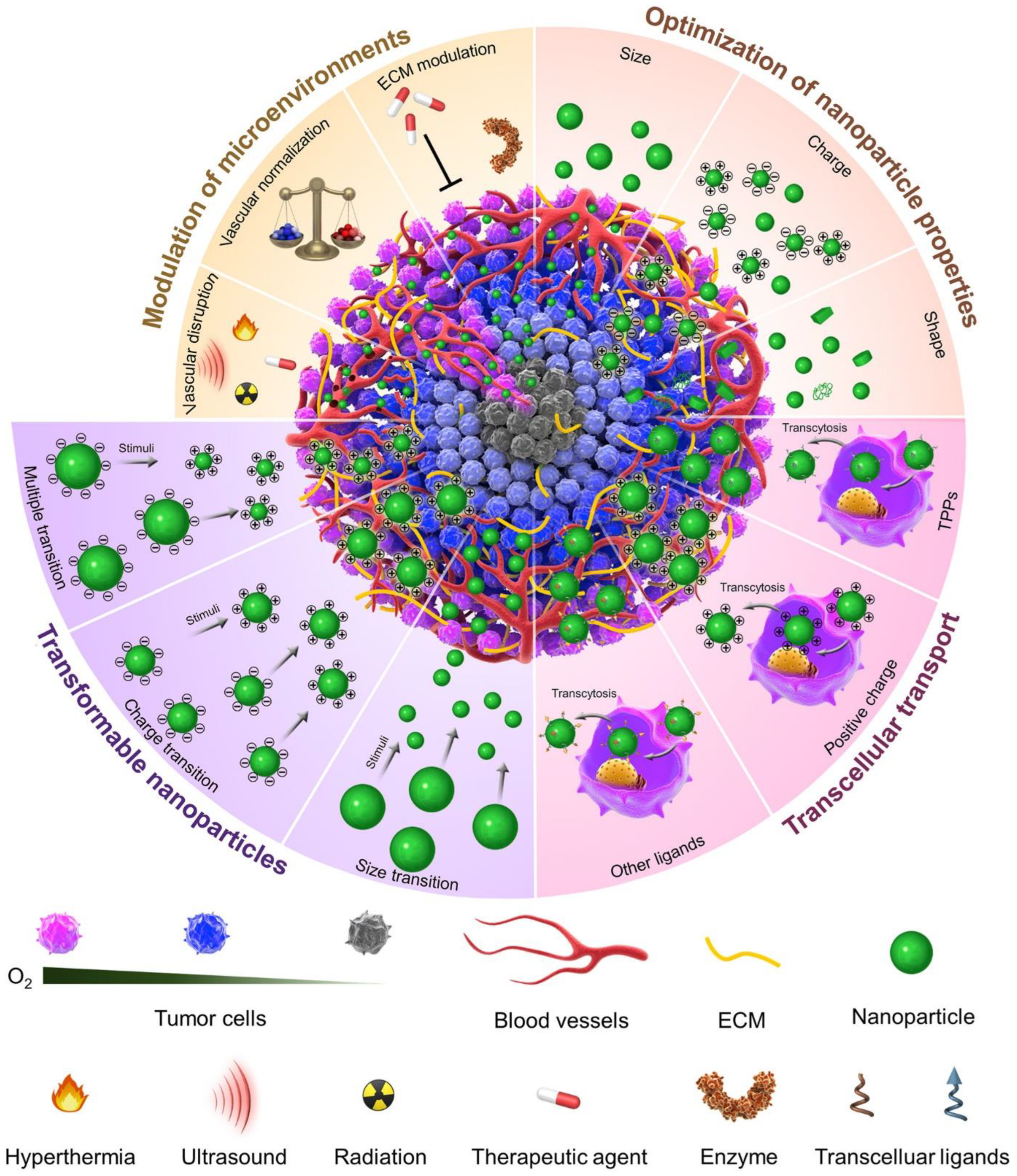 Cancers 14 02904 g001