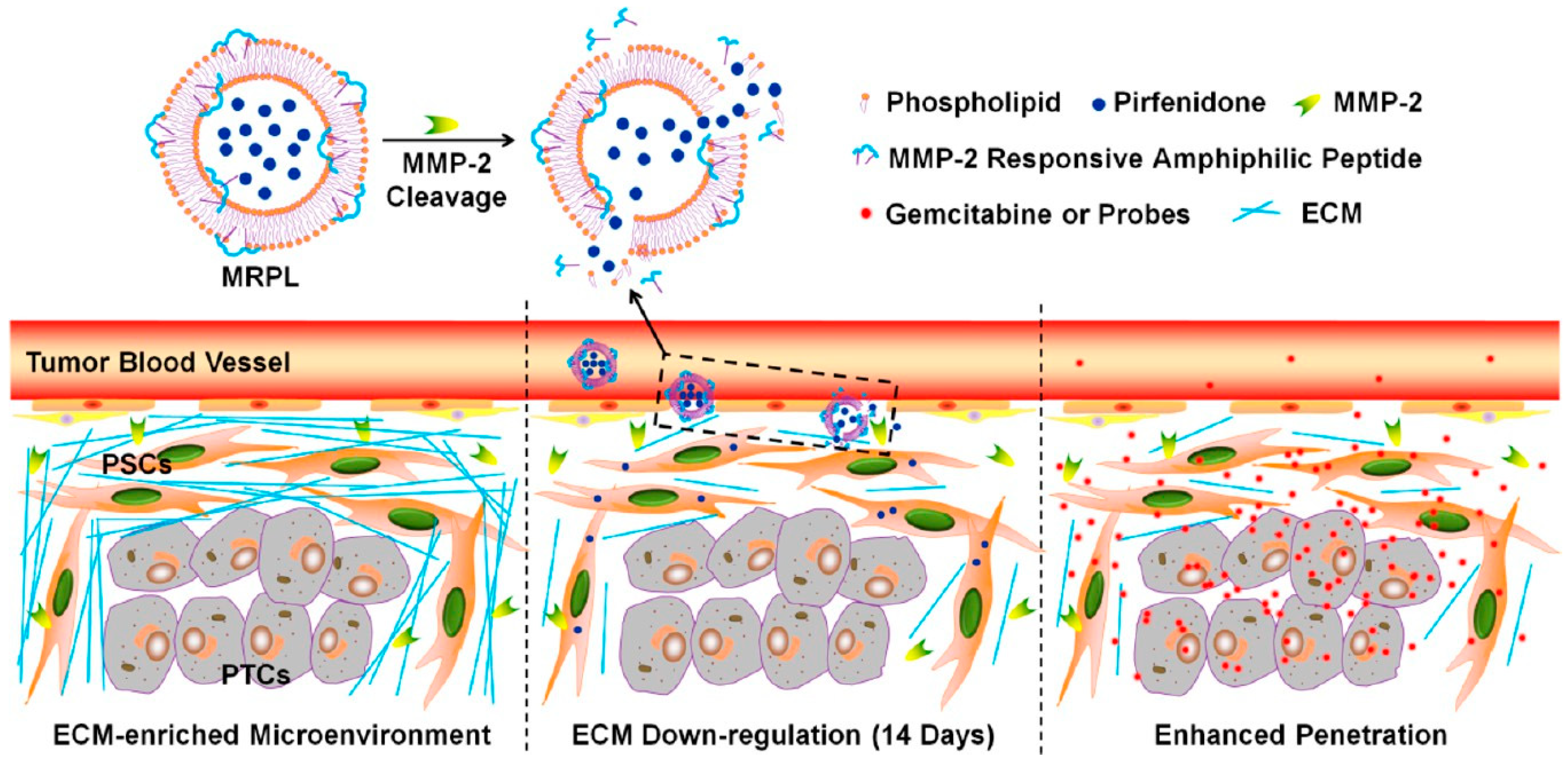 Cancers 14 02904 g002