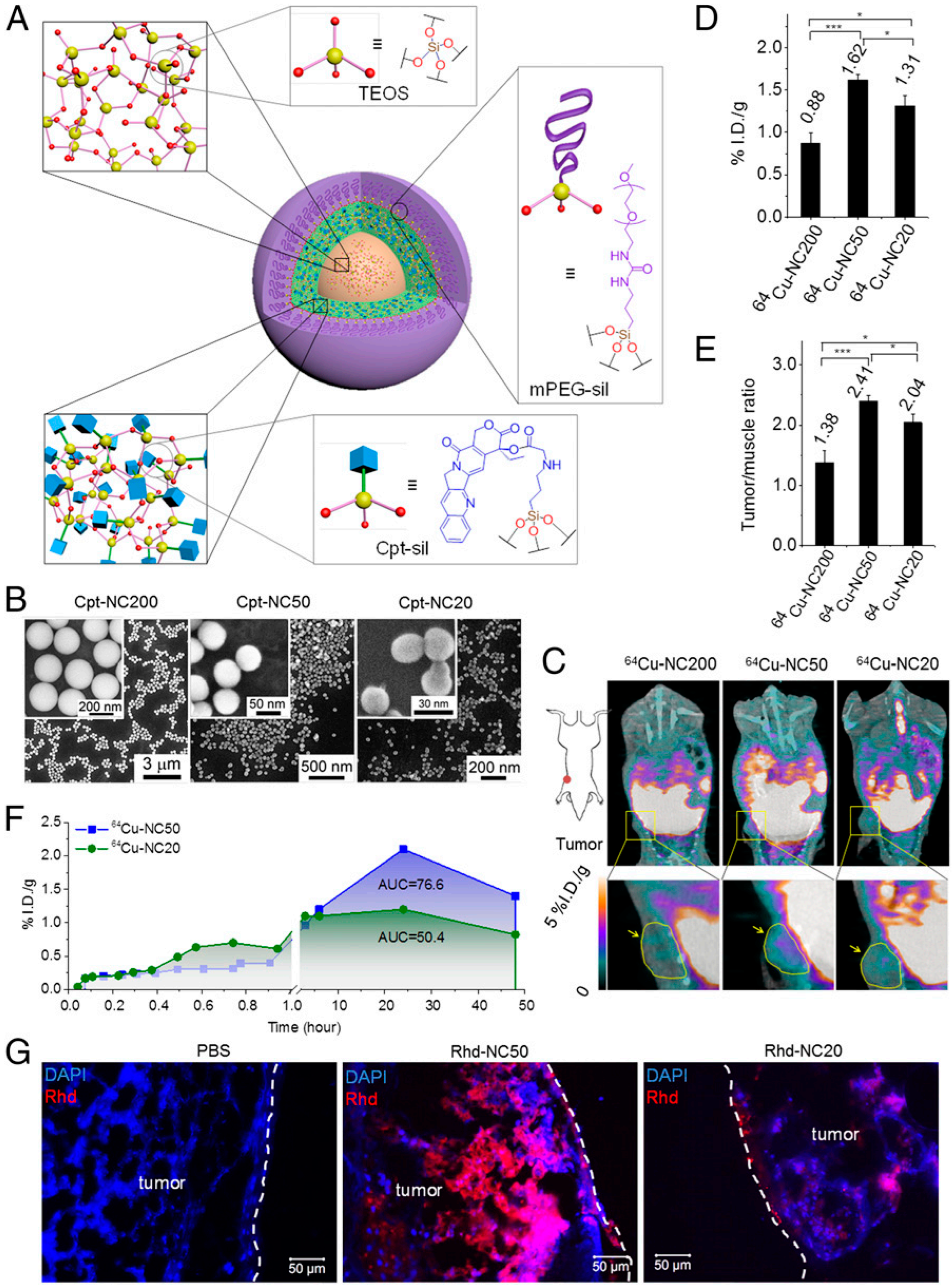 Cancers 14 02904 g003
