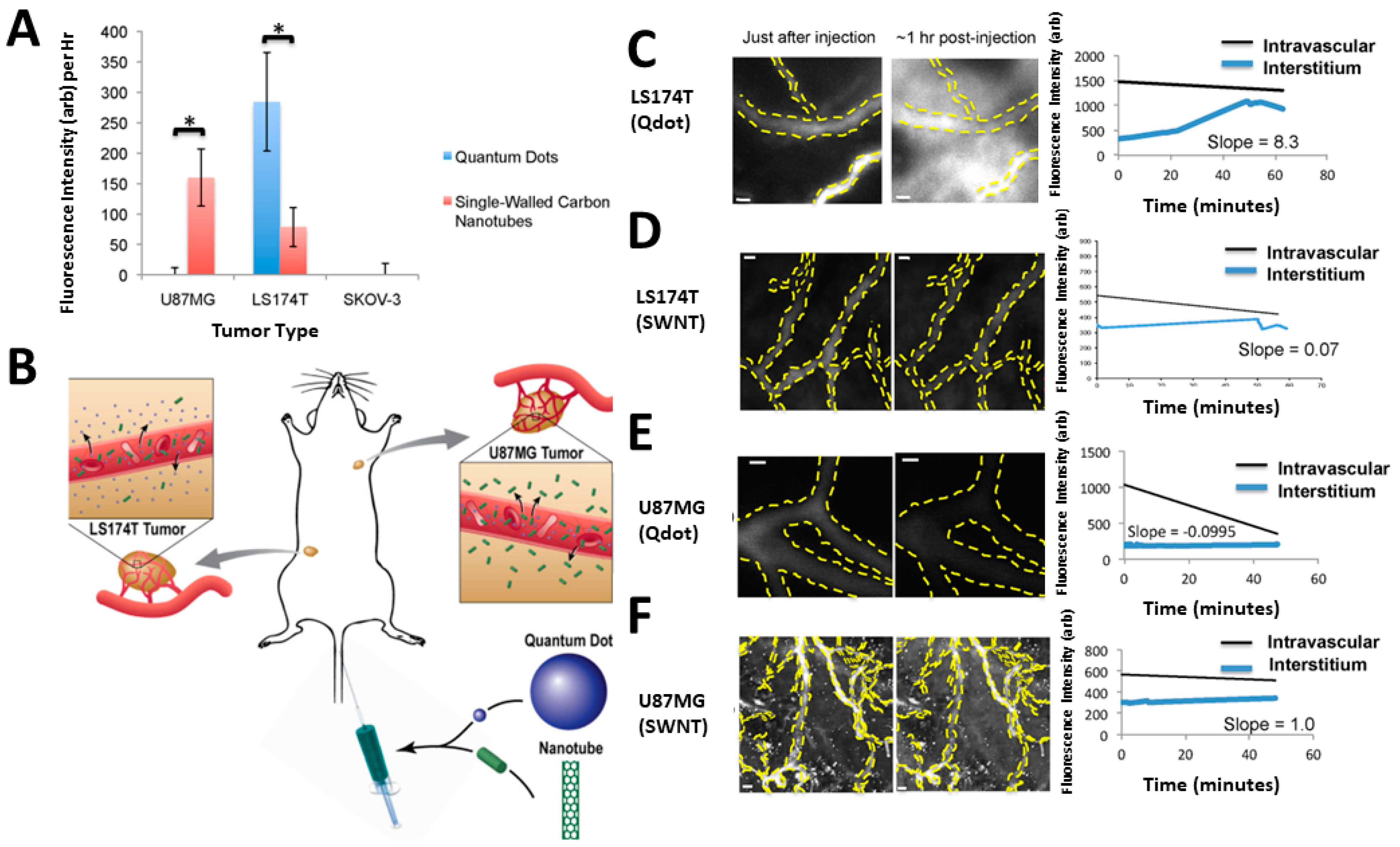 Cancers 14 02904 g004