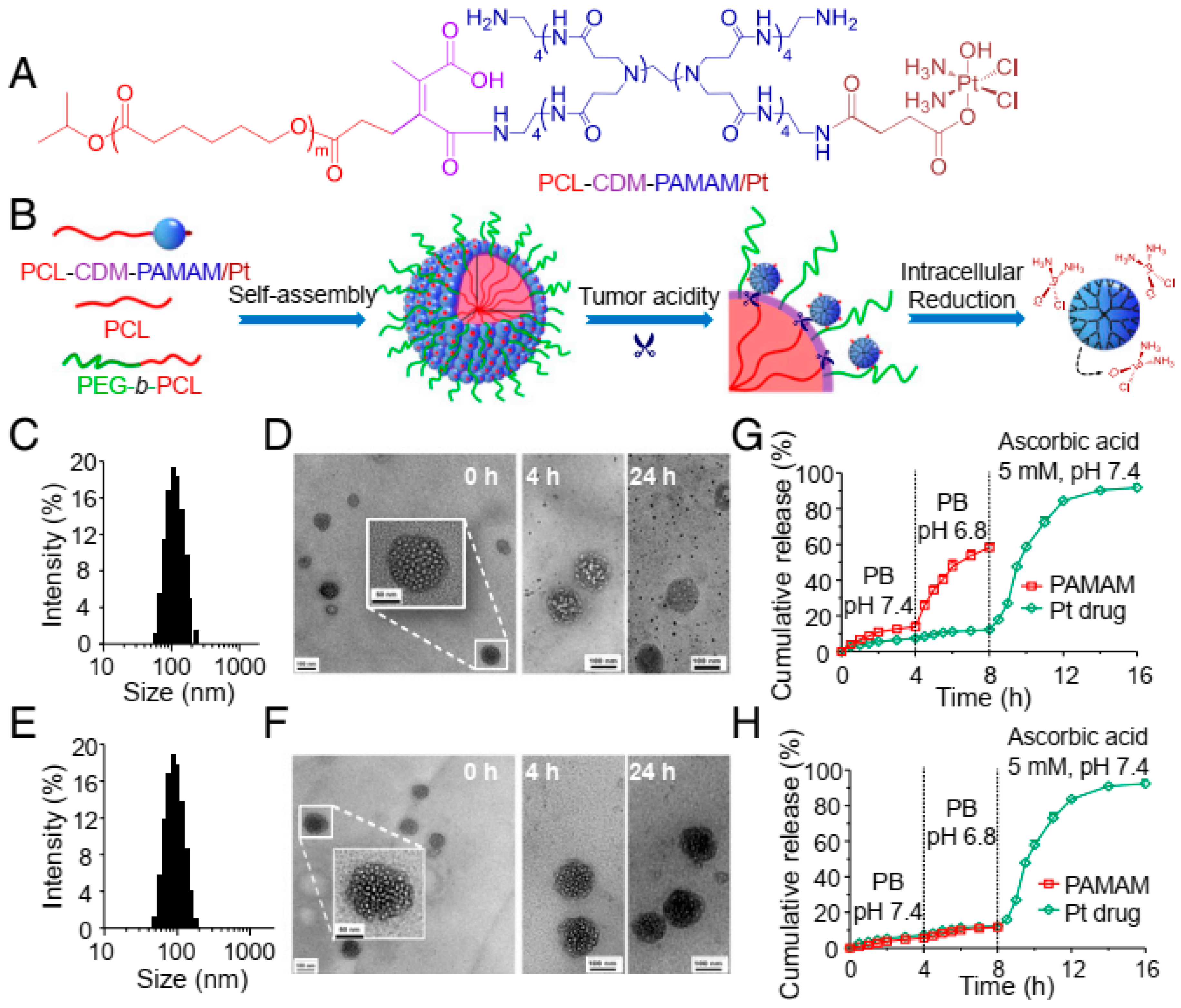 Cancers 14 02904 g005