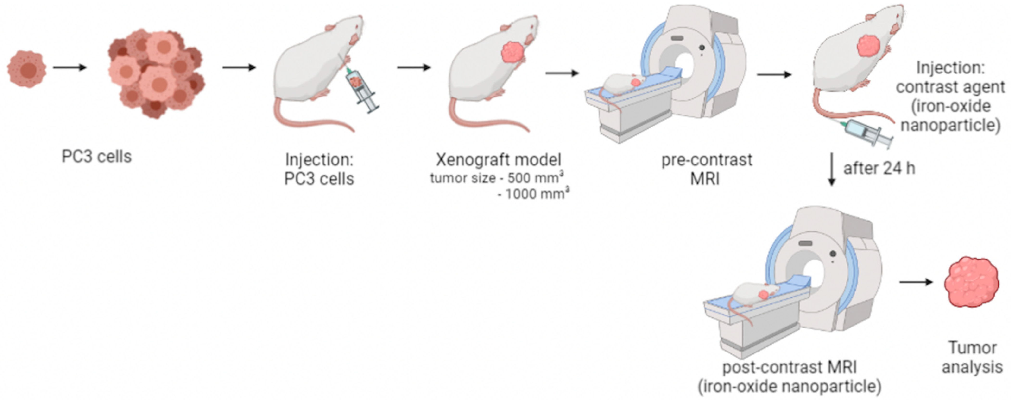 Cancers 14 02909 g001