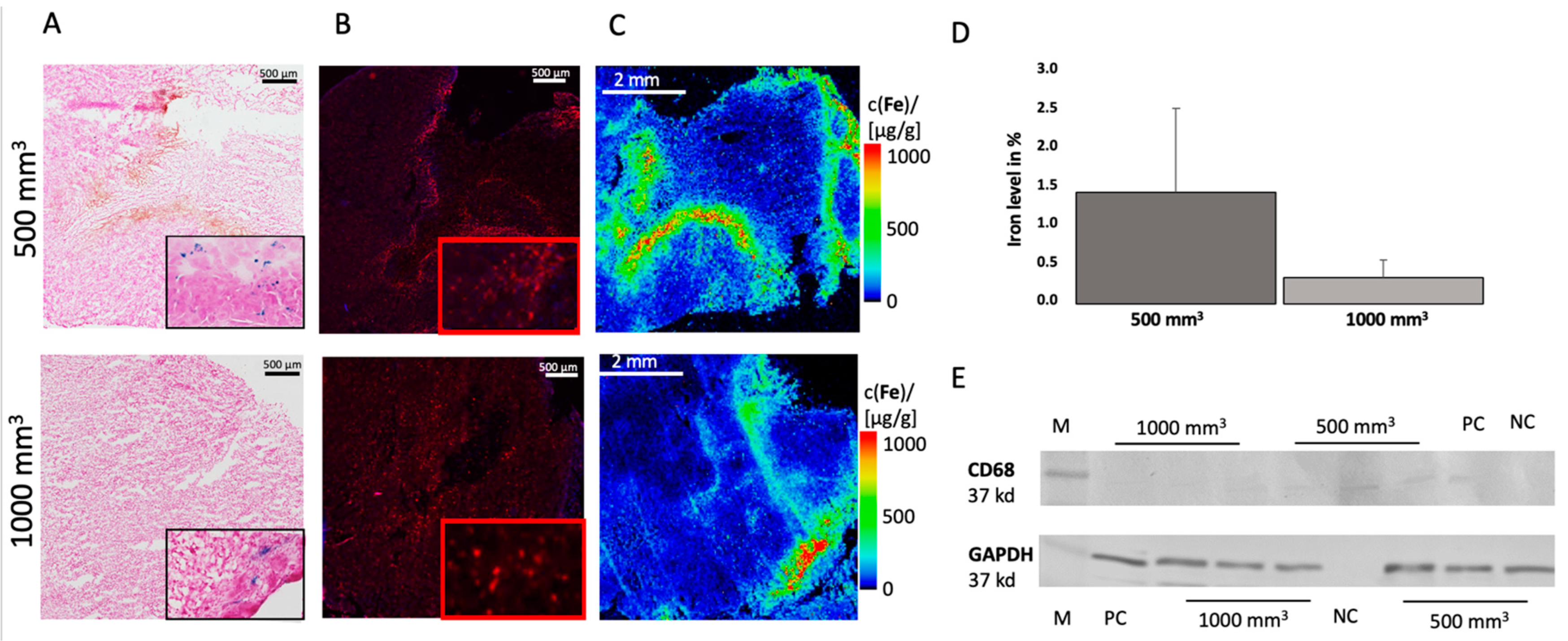 Cancers 14 02909 g003