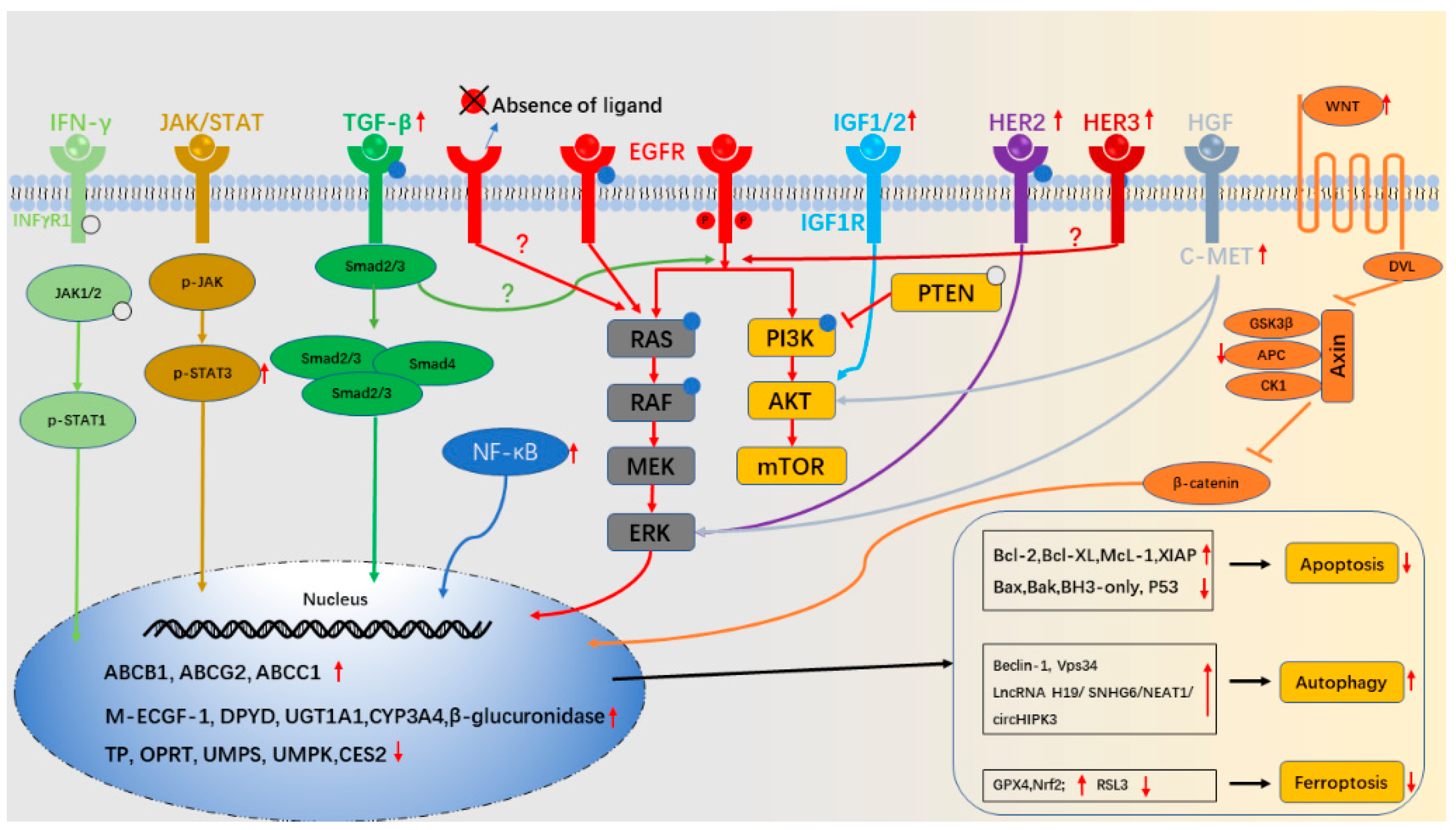 Cancers 14 02928 g002 Cancers 14 02928 g002