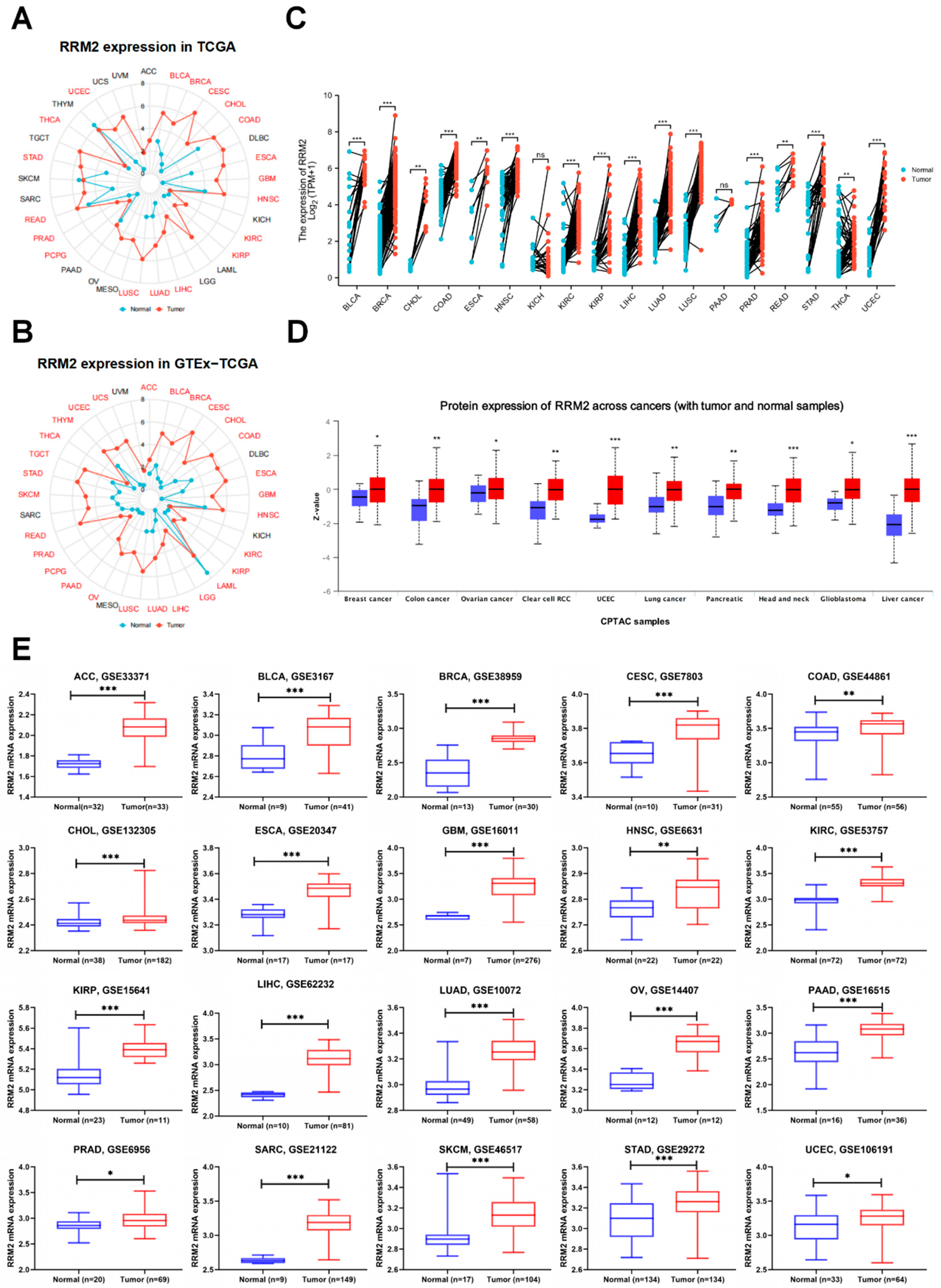 Cancers 14 02938 g001