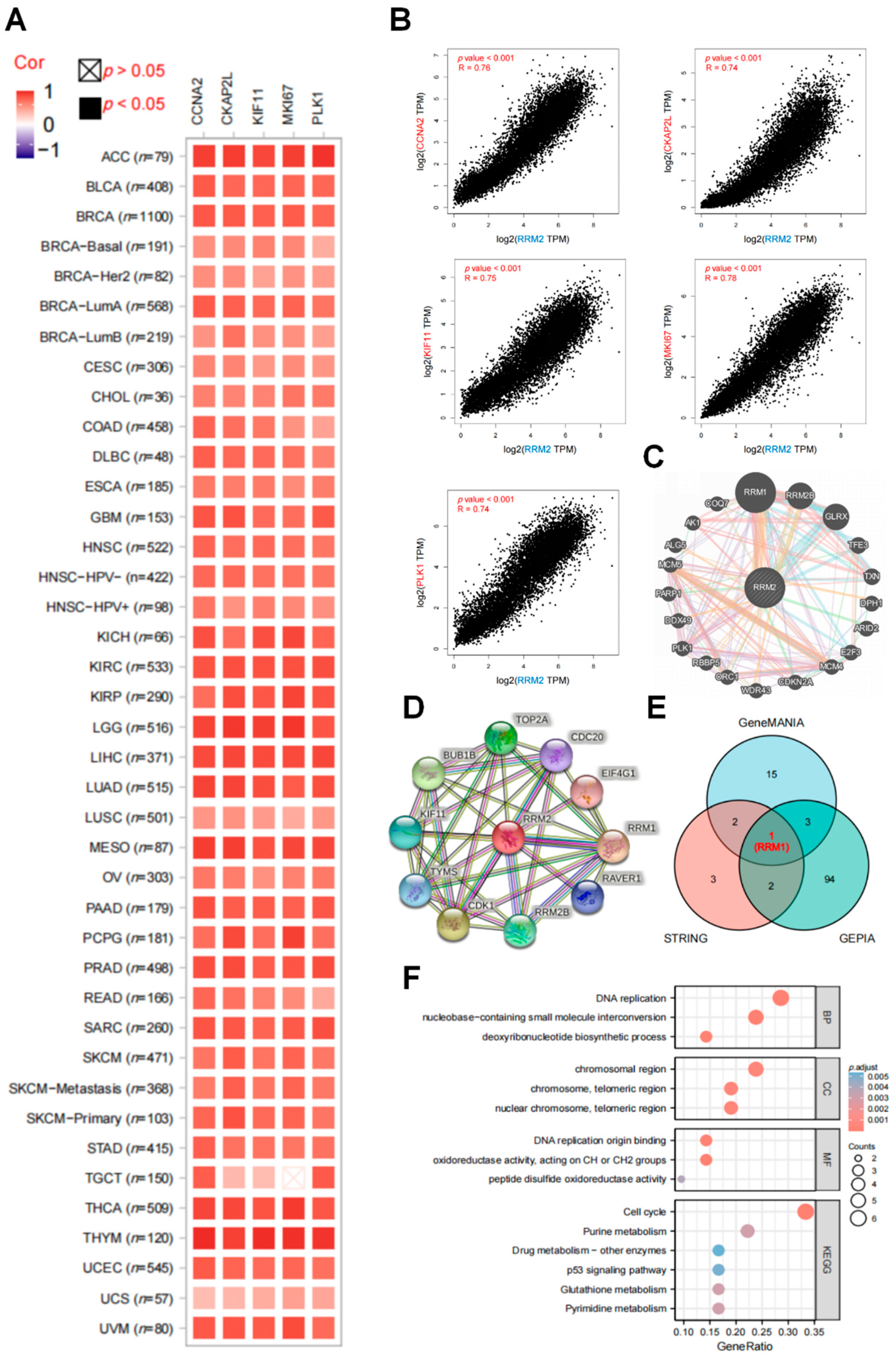 Cancers 14 02938 g005