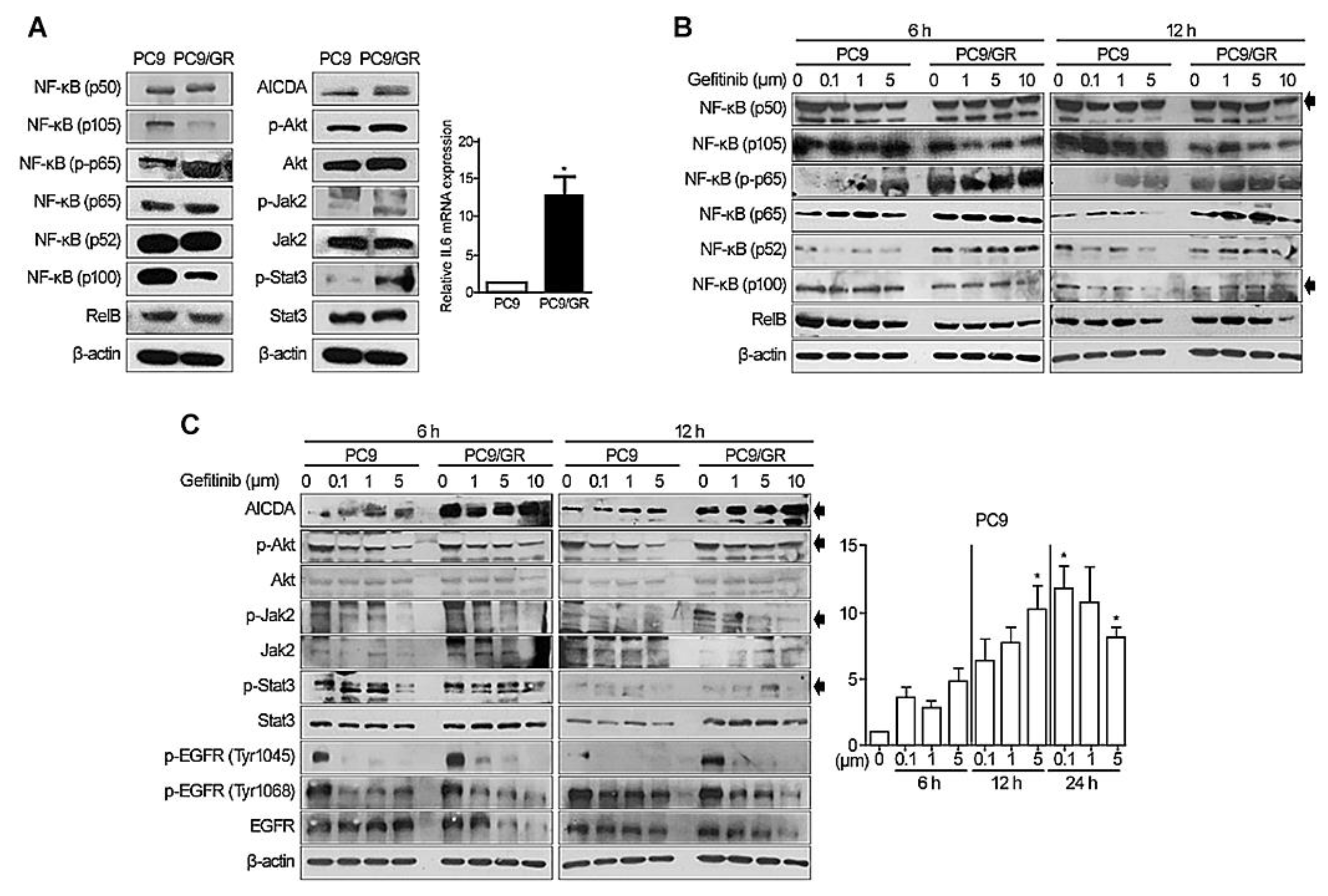 Cancers 14 02940 g001 Cancers 14 02940 g001