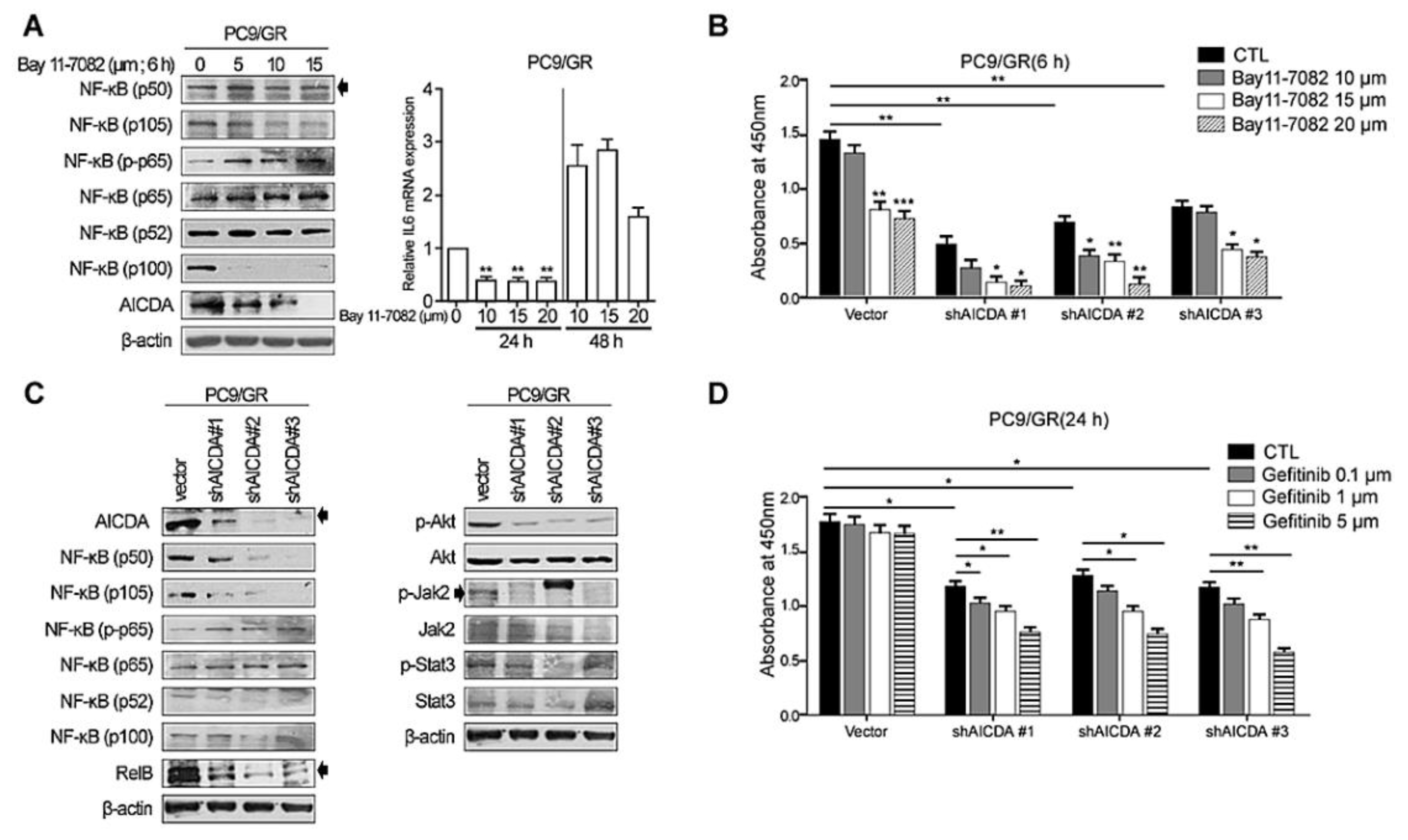 Cancers 14 02940 g002 Cancers 14 02940 g002