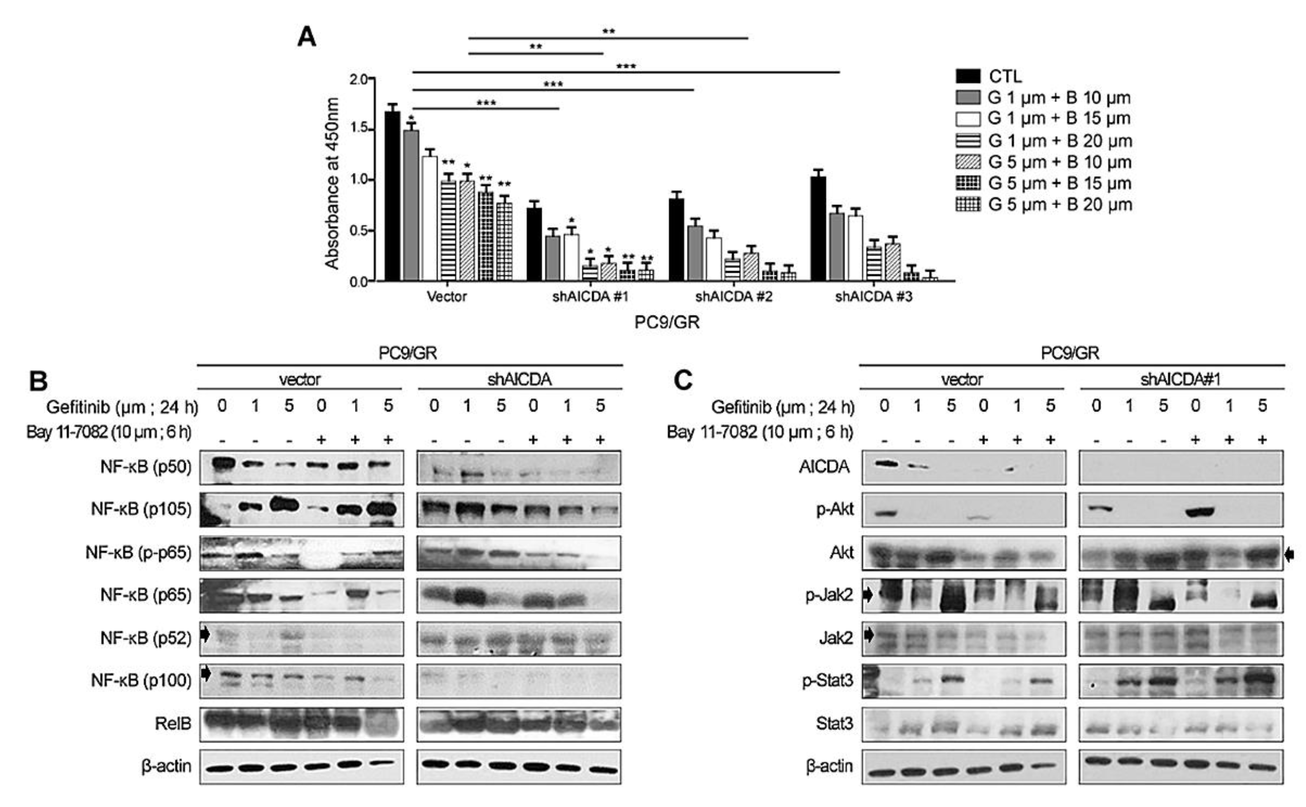 Cancers 14 02940 g003 Cancers 14 02940 g003
