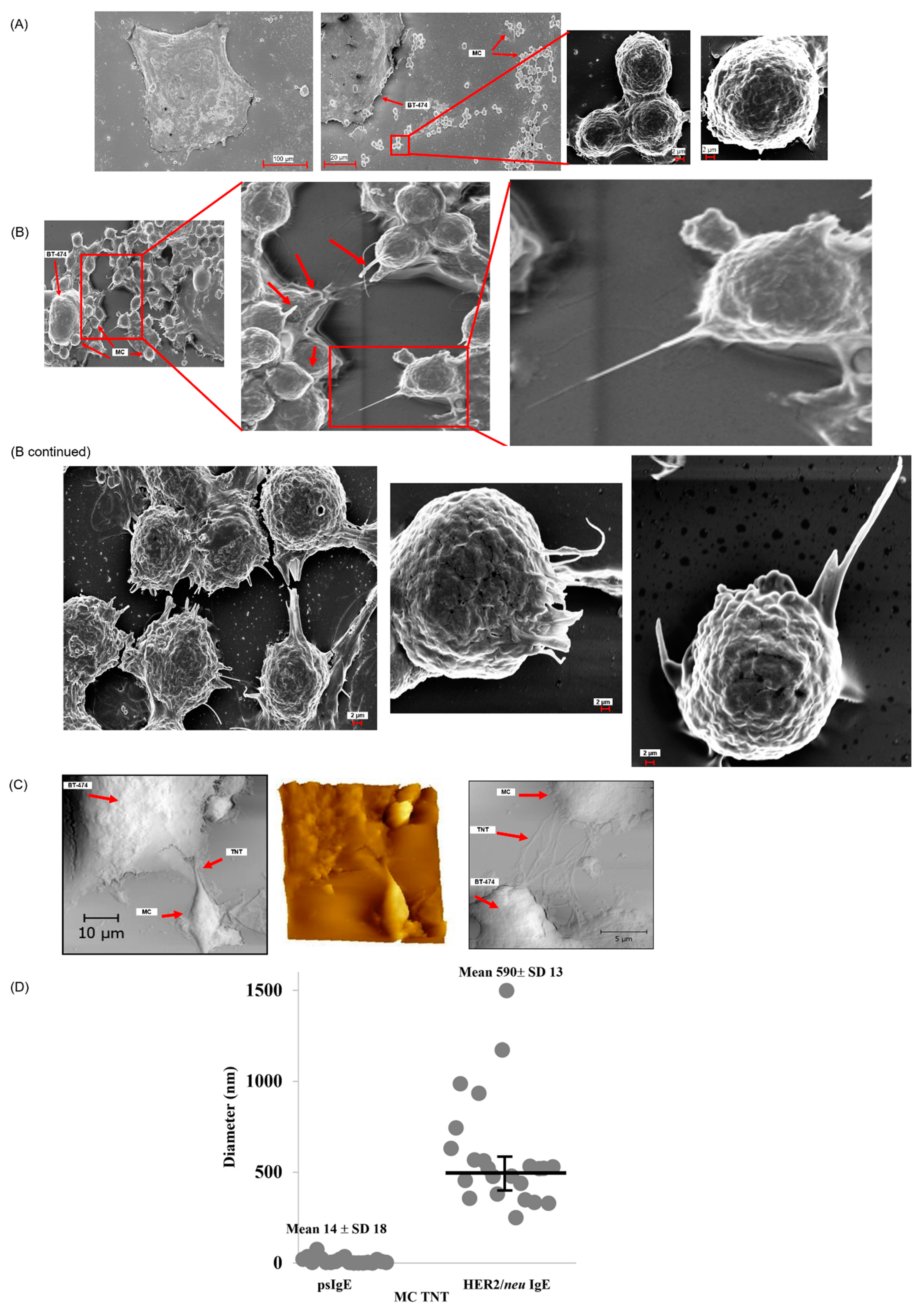 Cancers 14 02944 g001 Cancers 14 02944 g001