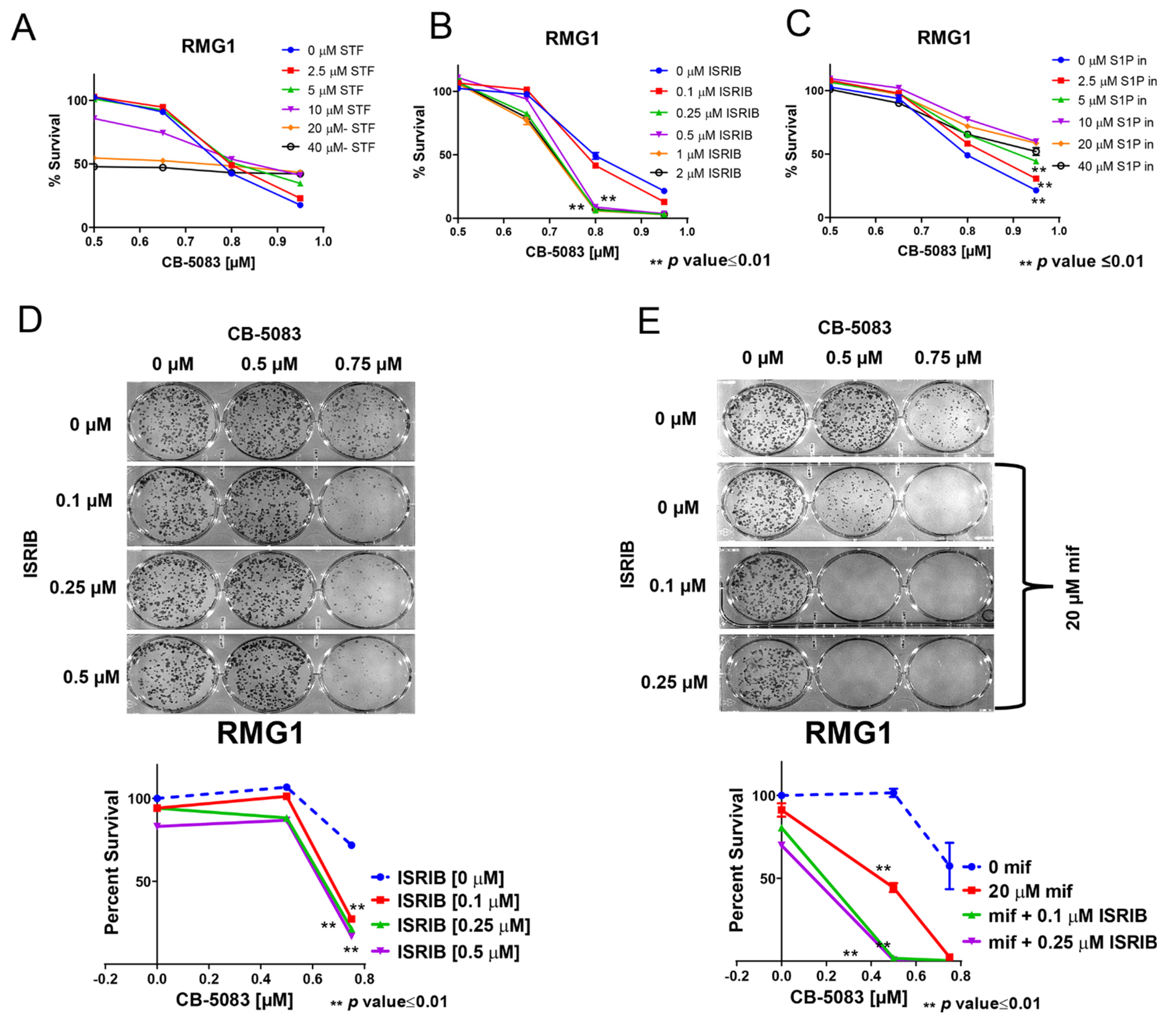 Cancers 14 02949 g007