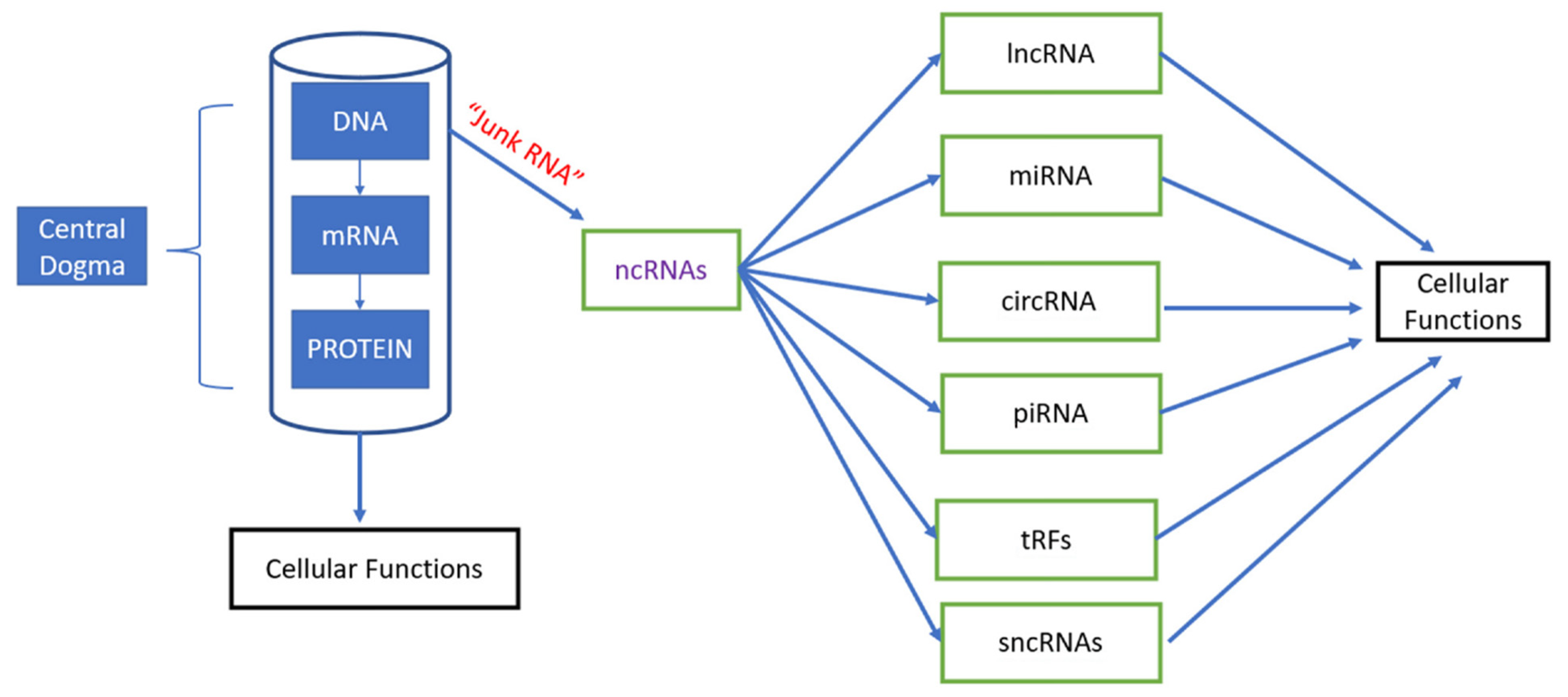 Cancers 14 02952 g001 Cancers 14 02952 g001