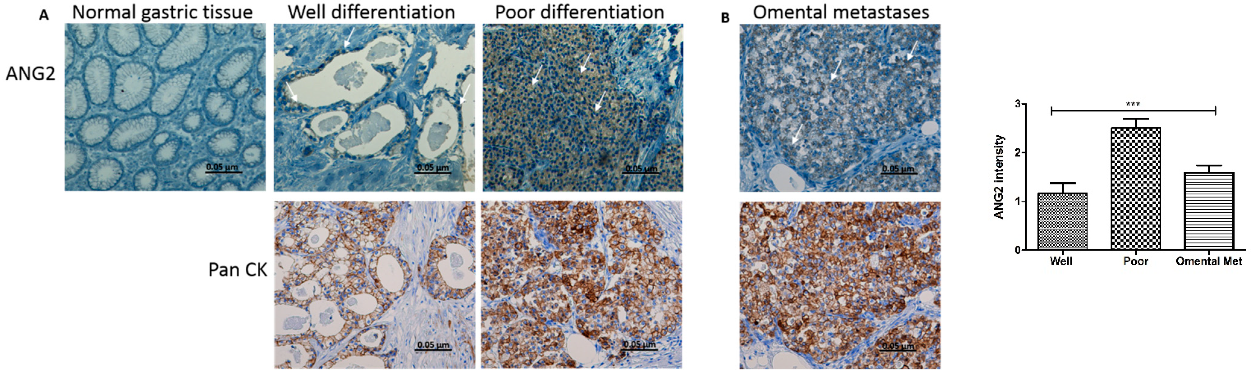 Cancers 14 02953 g001