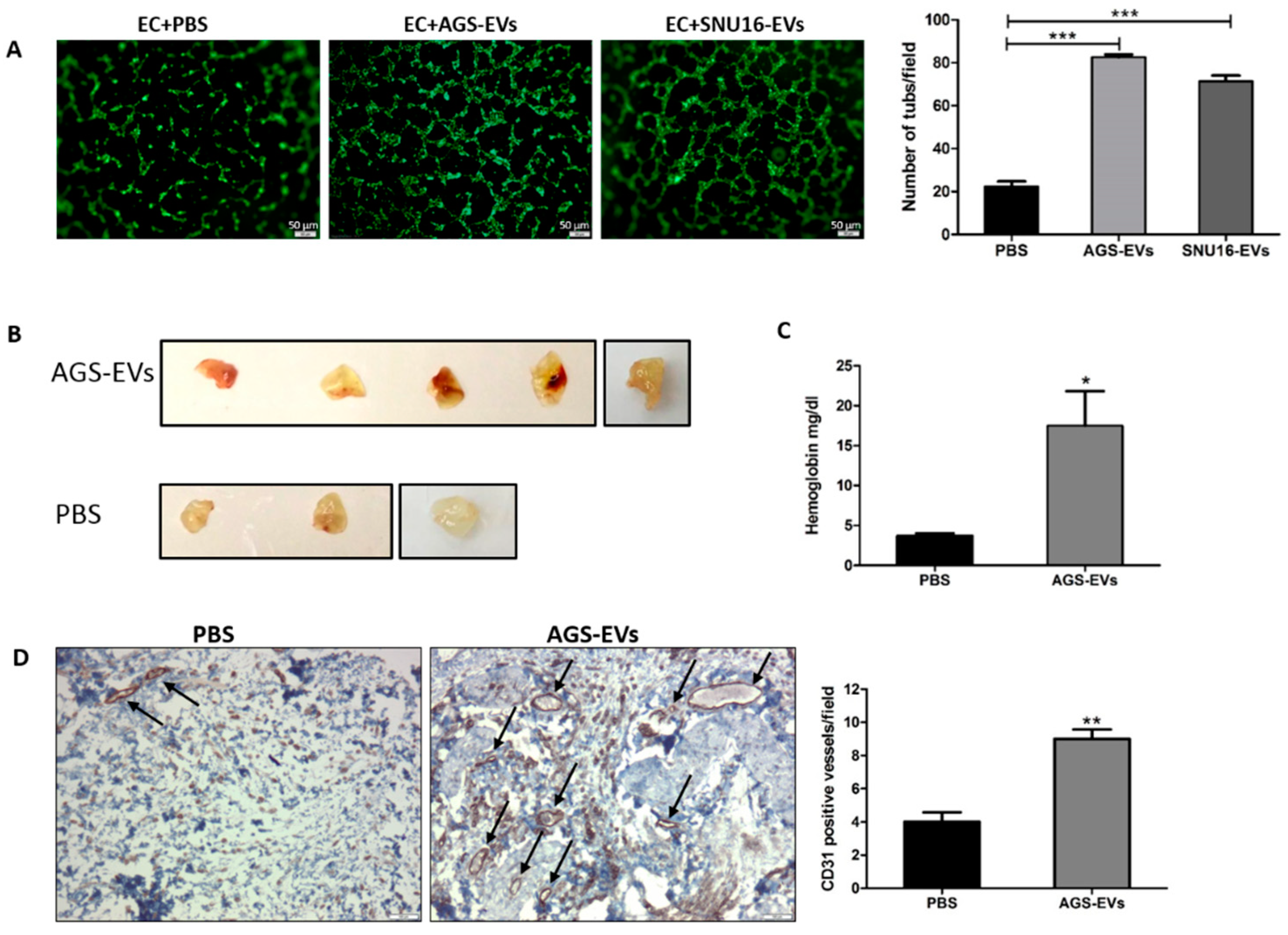 Cancers 14 02953 g005