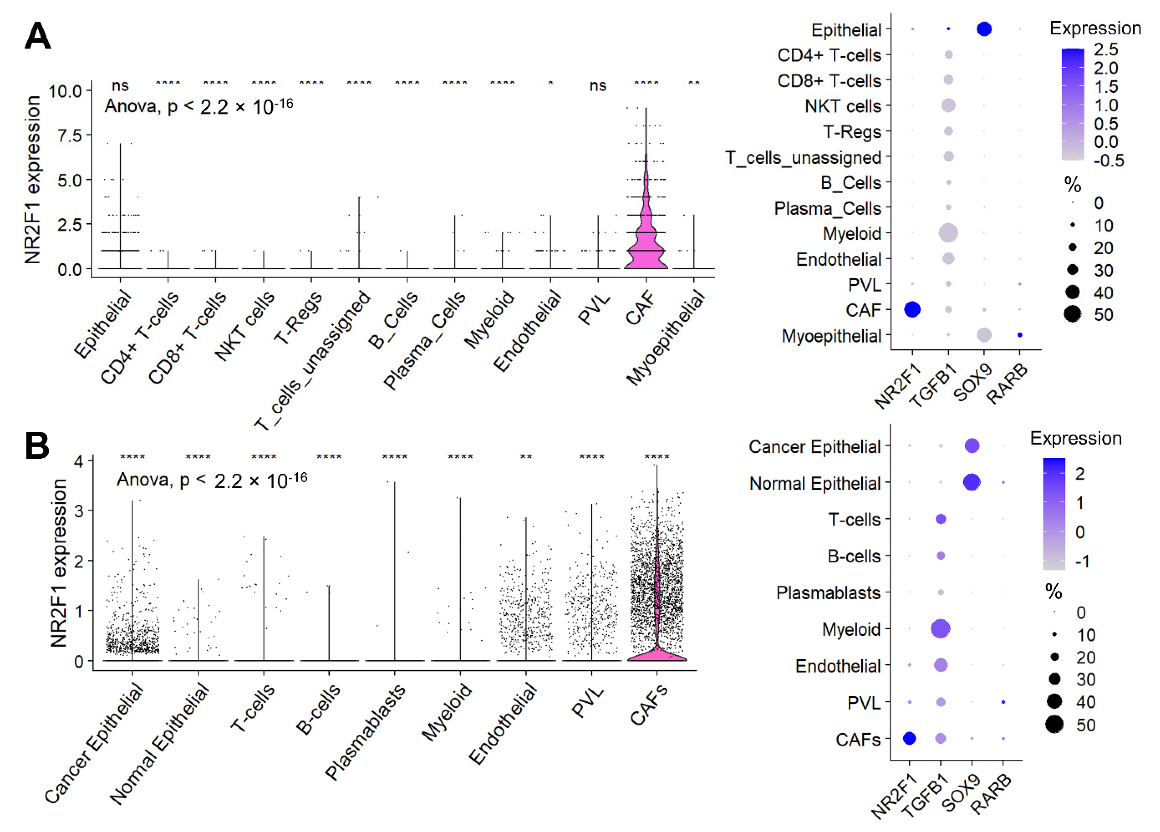 Cancers 14 02962 g006