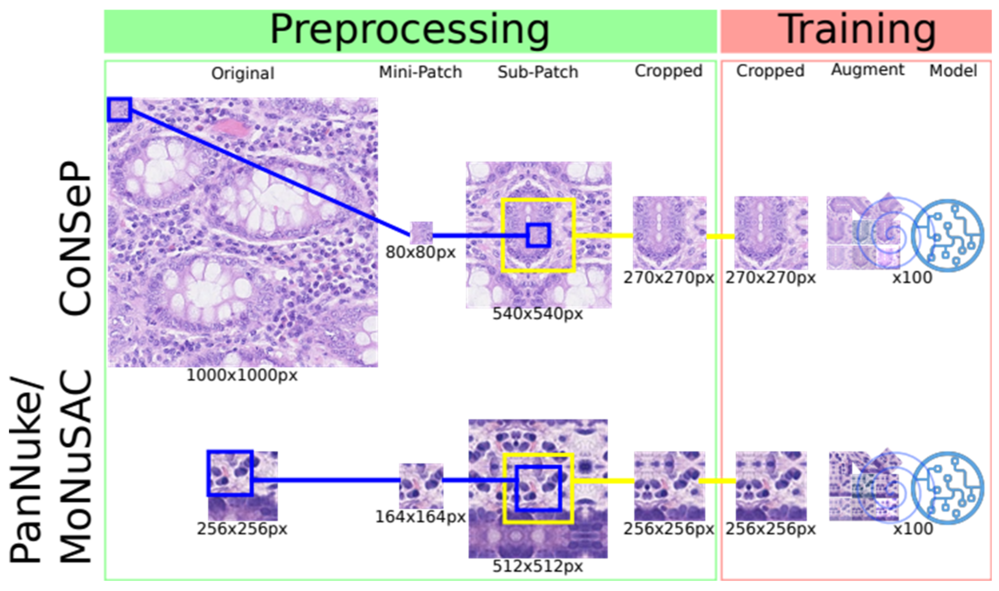 Cancers 14 02974 g001 550