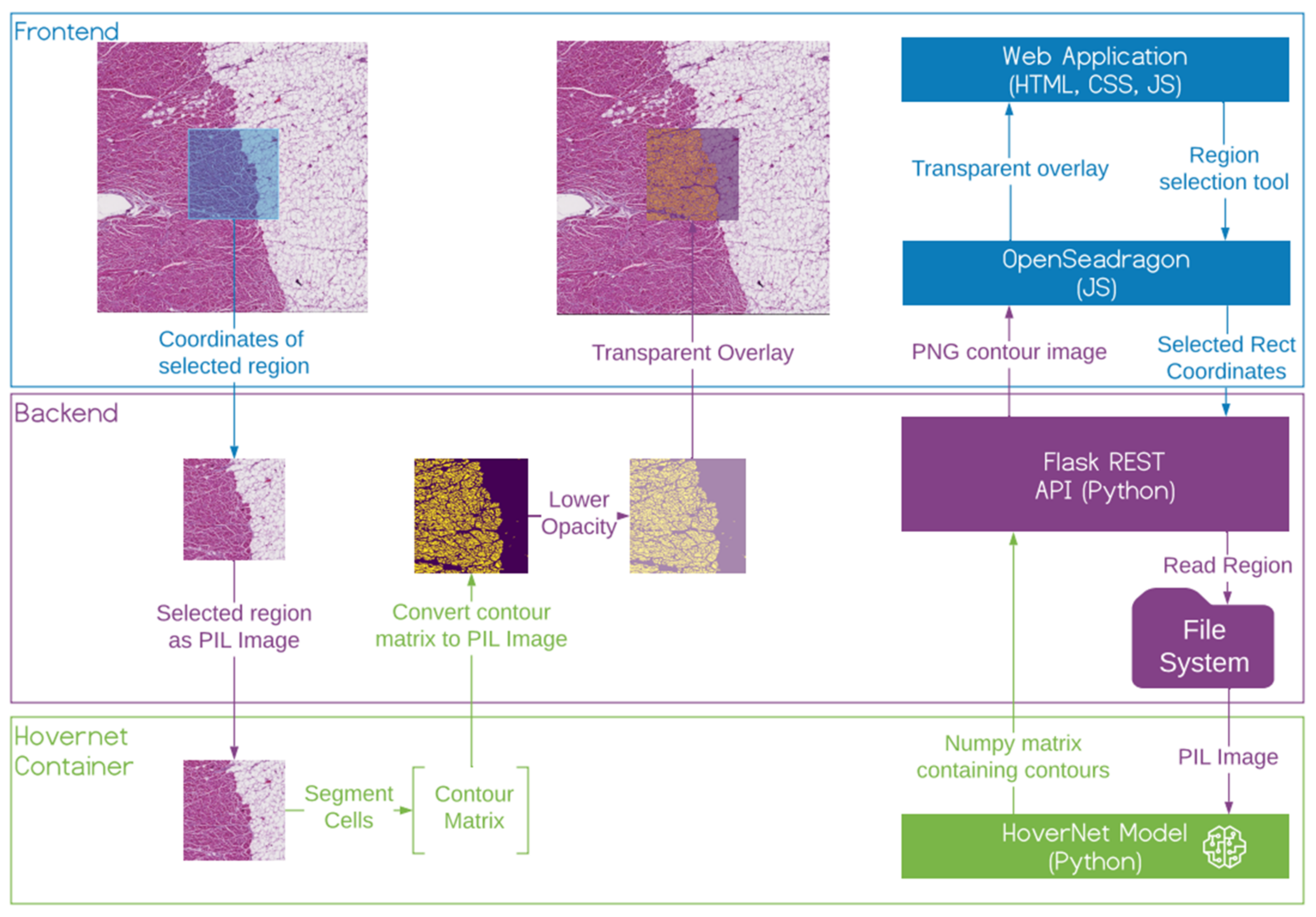 Cancers 14 02974 g003 550