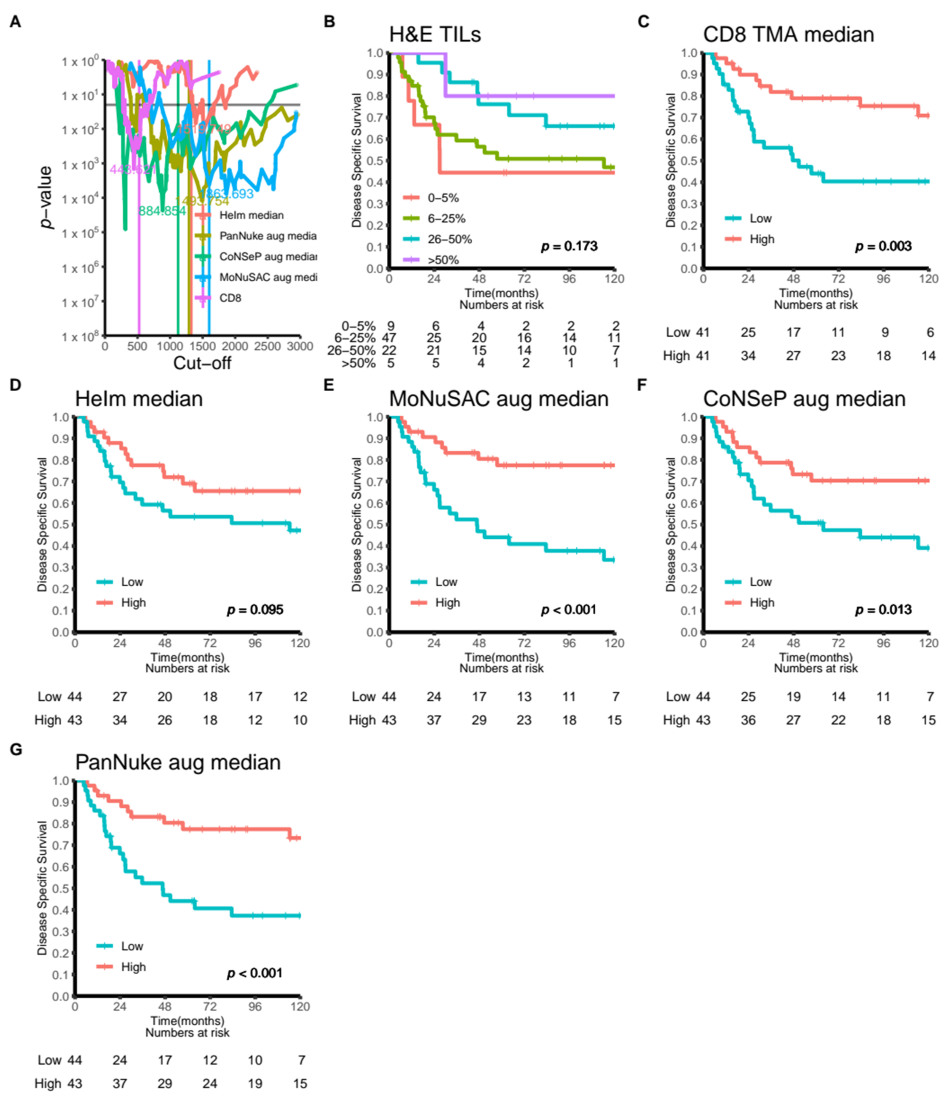 Cancers 14 02974 g004 550