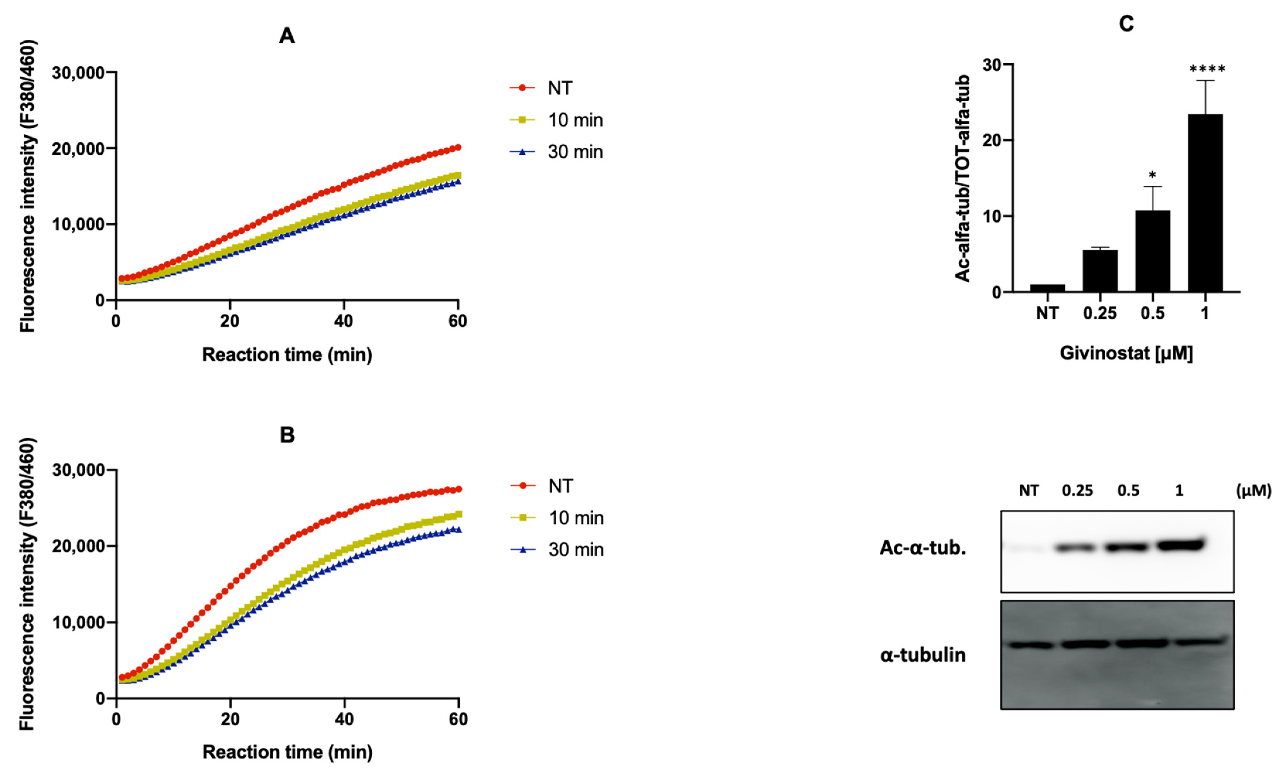 Cancers 14 02978 g005