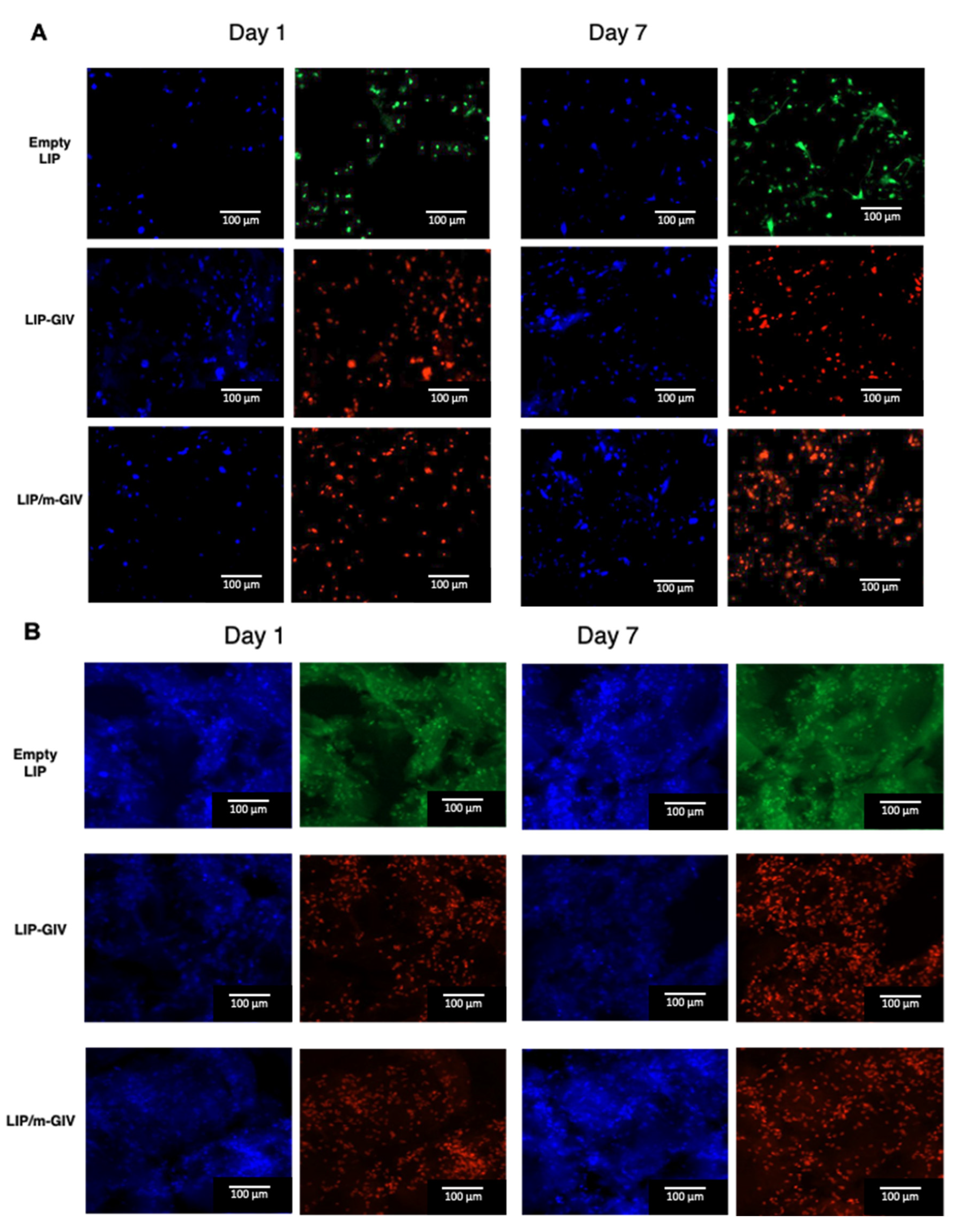 Cancers 14 02978 g007