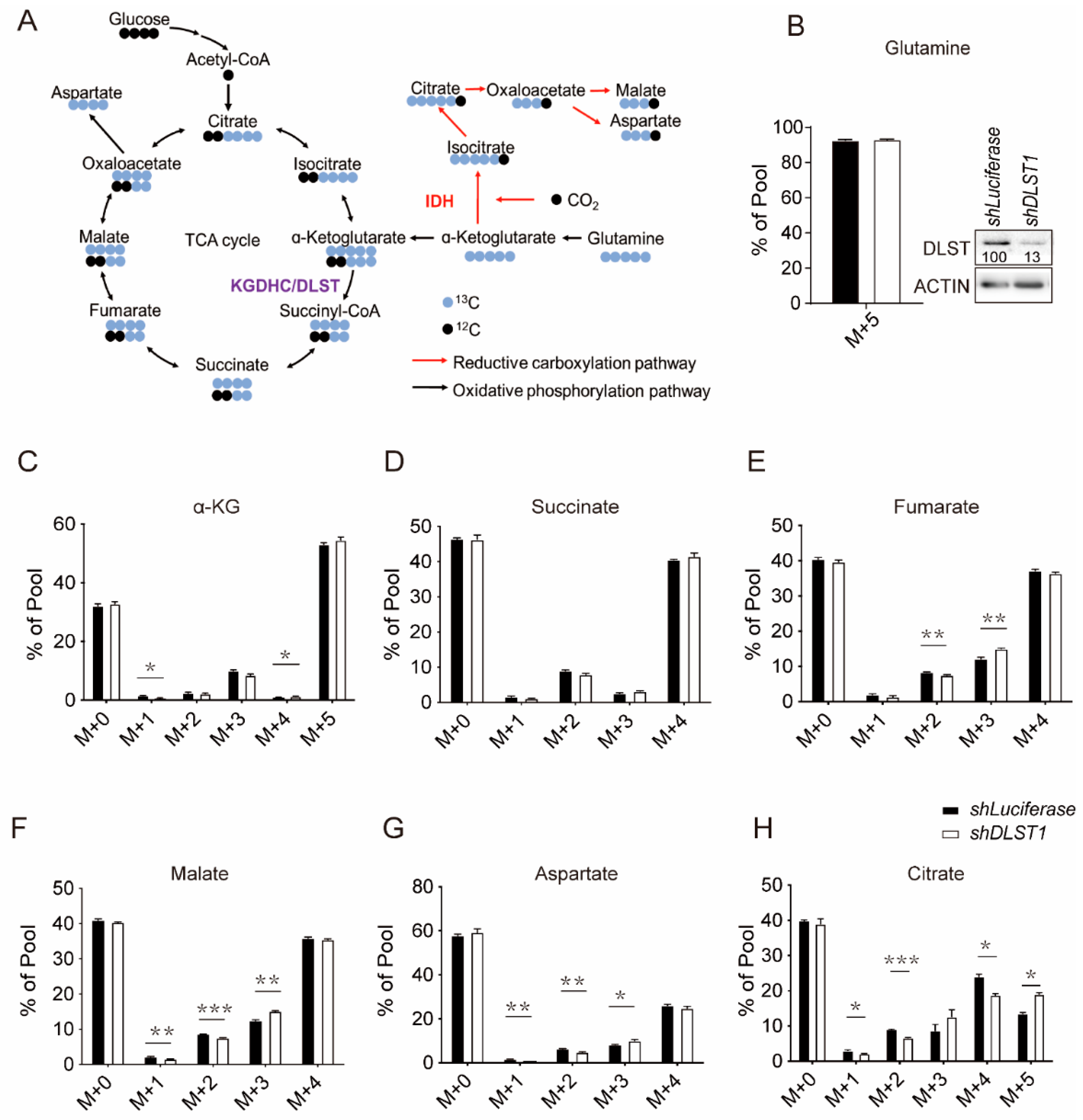 Cancers 14 02983 g001