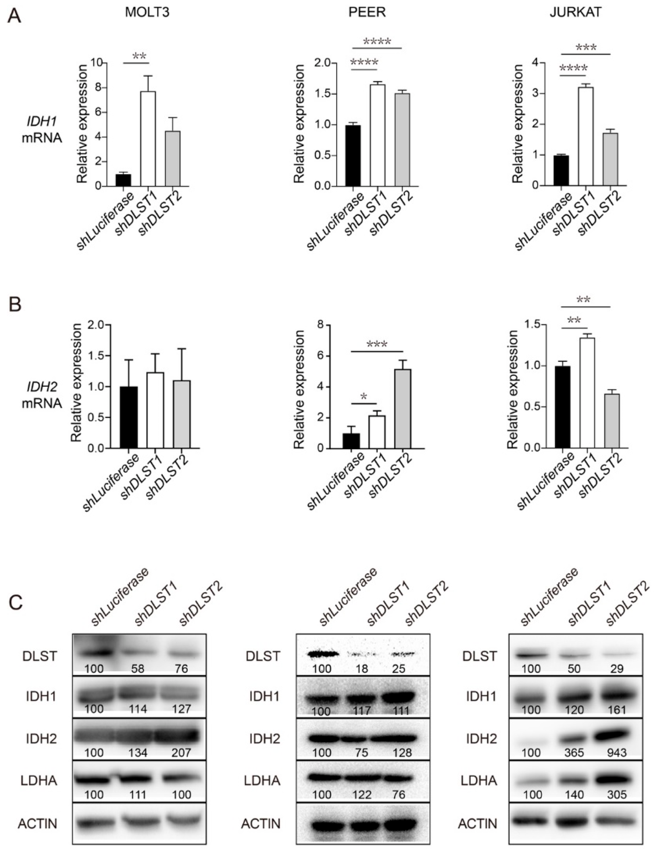Cancers 14 02983 g002