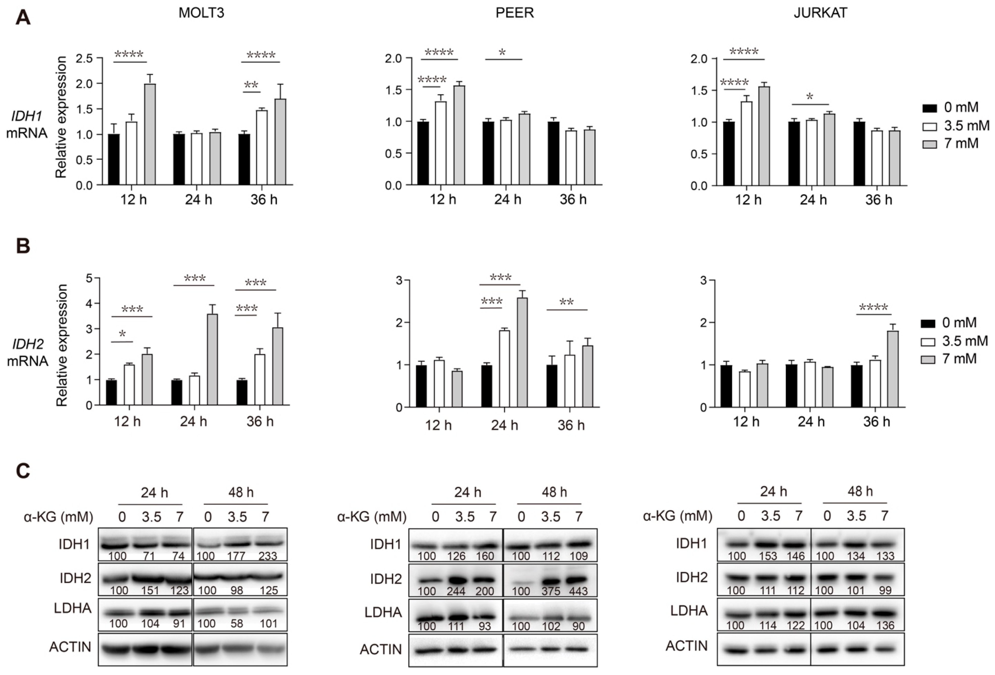 Cancers 14 02983 g003