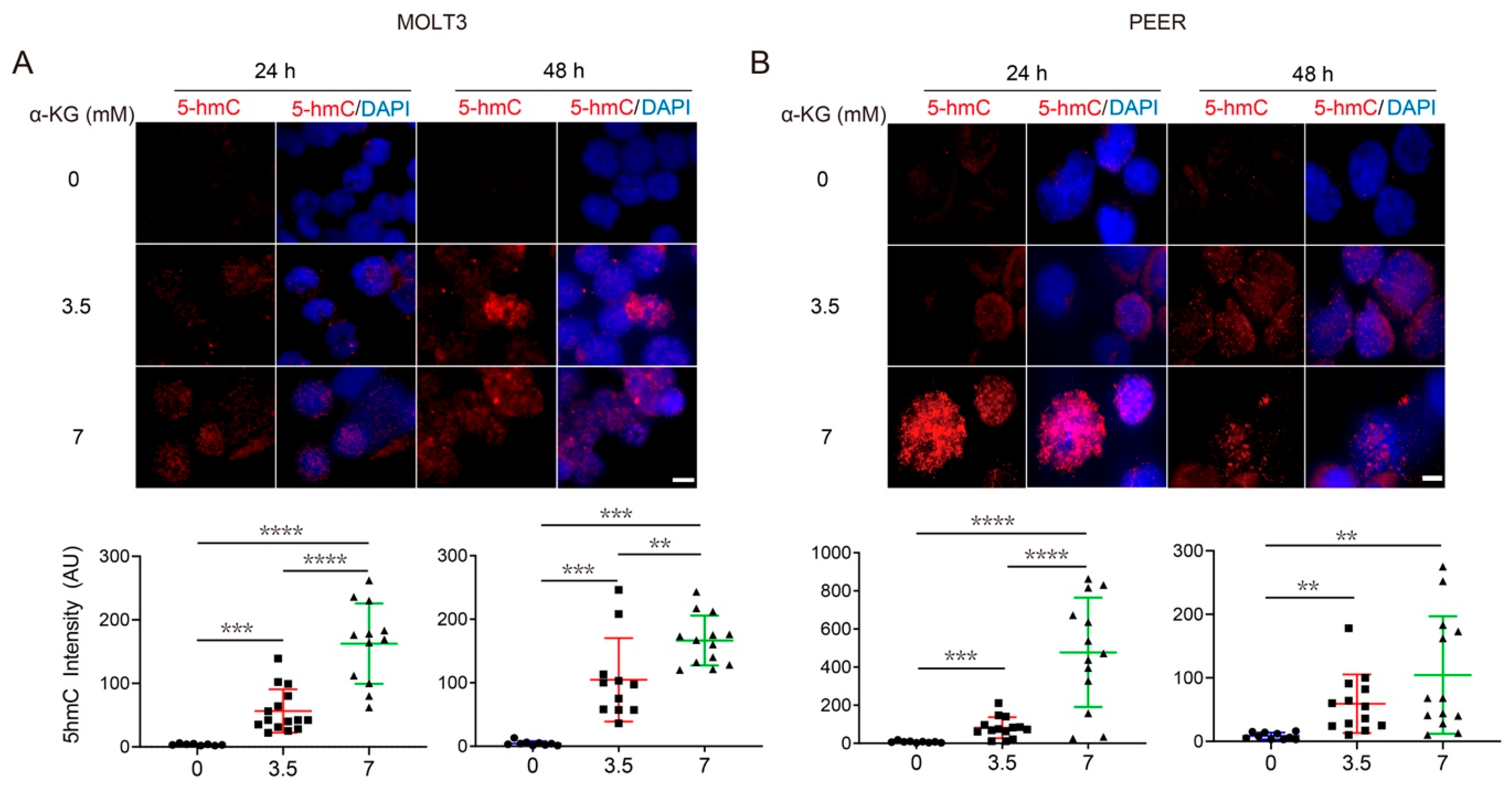 Cancers 14 02983 g004