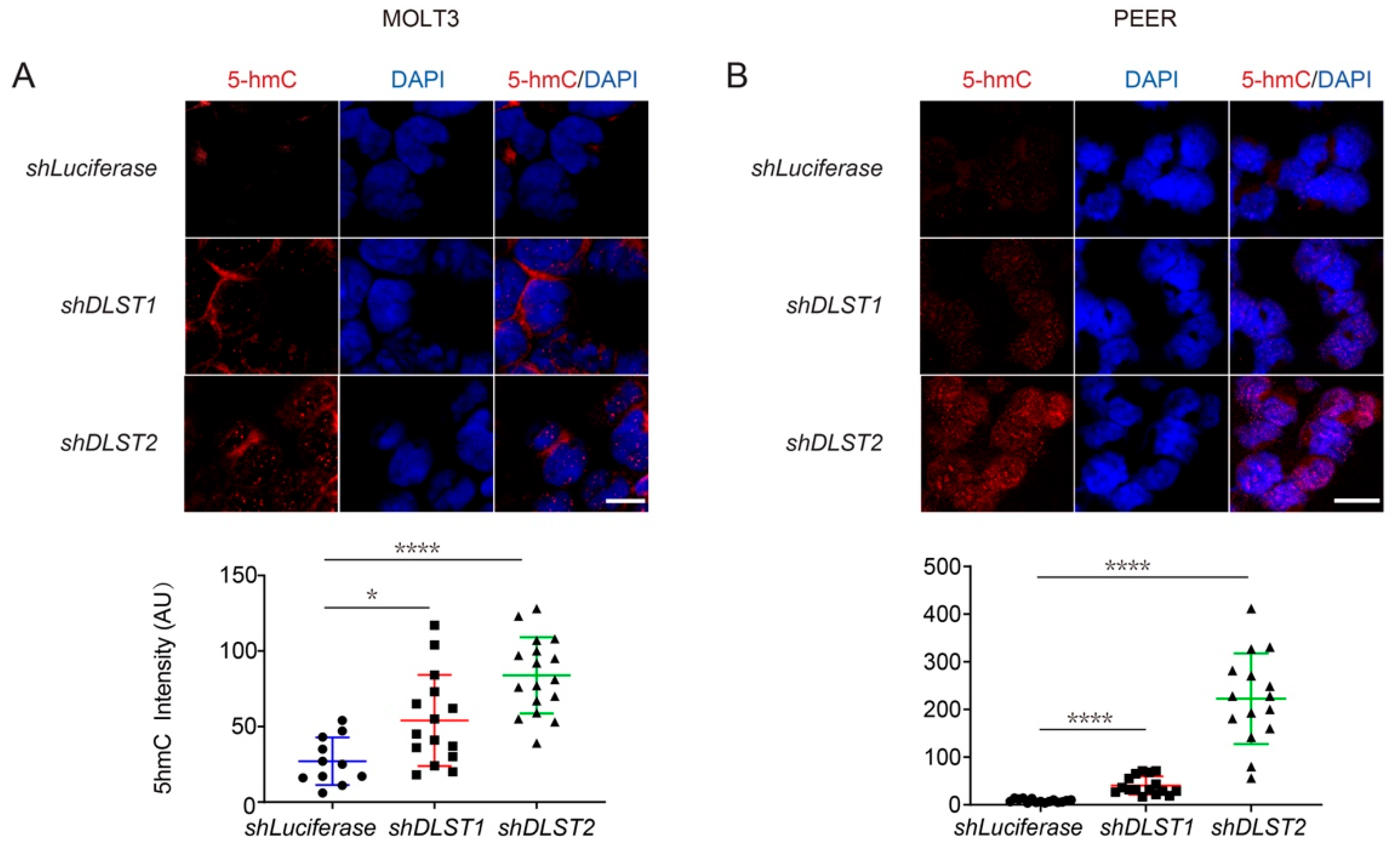 Cancers 14 02983 g005