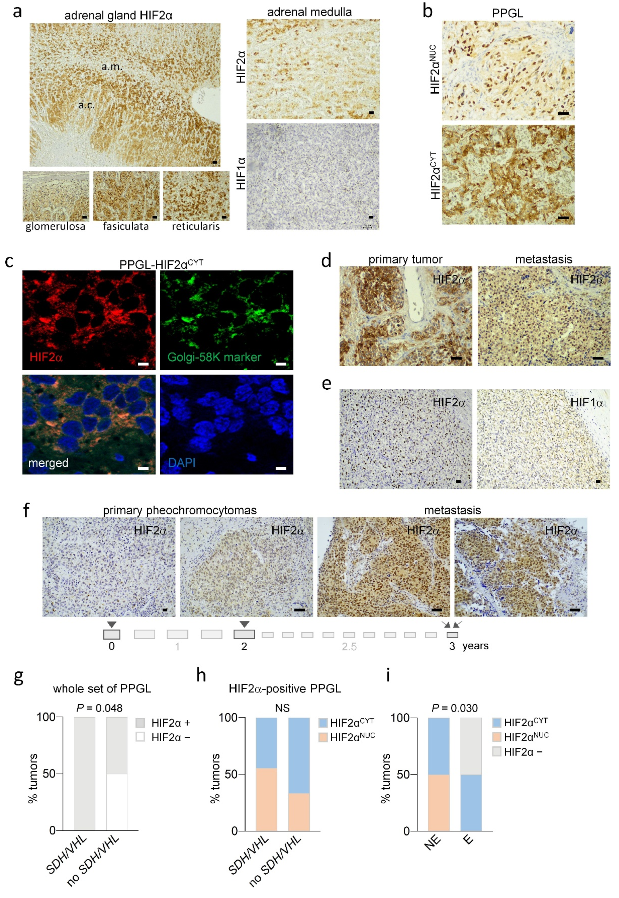 Cancers 14 02986 g003 550