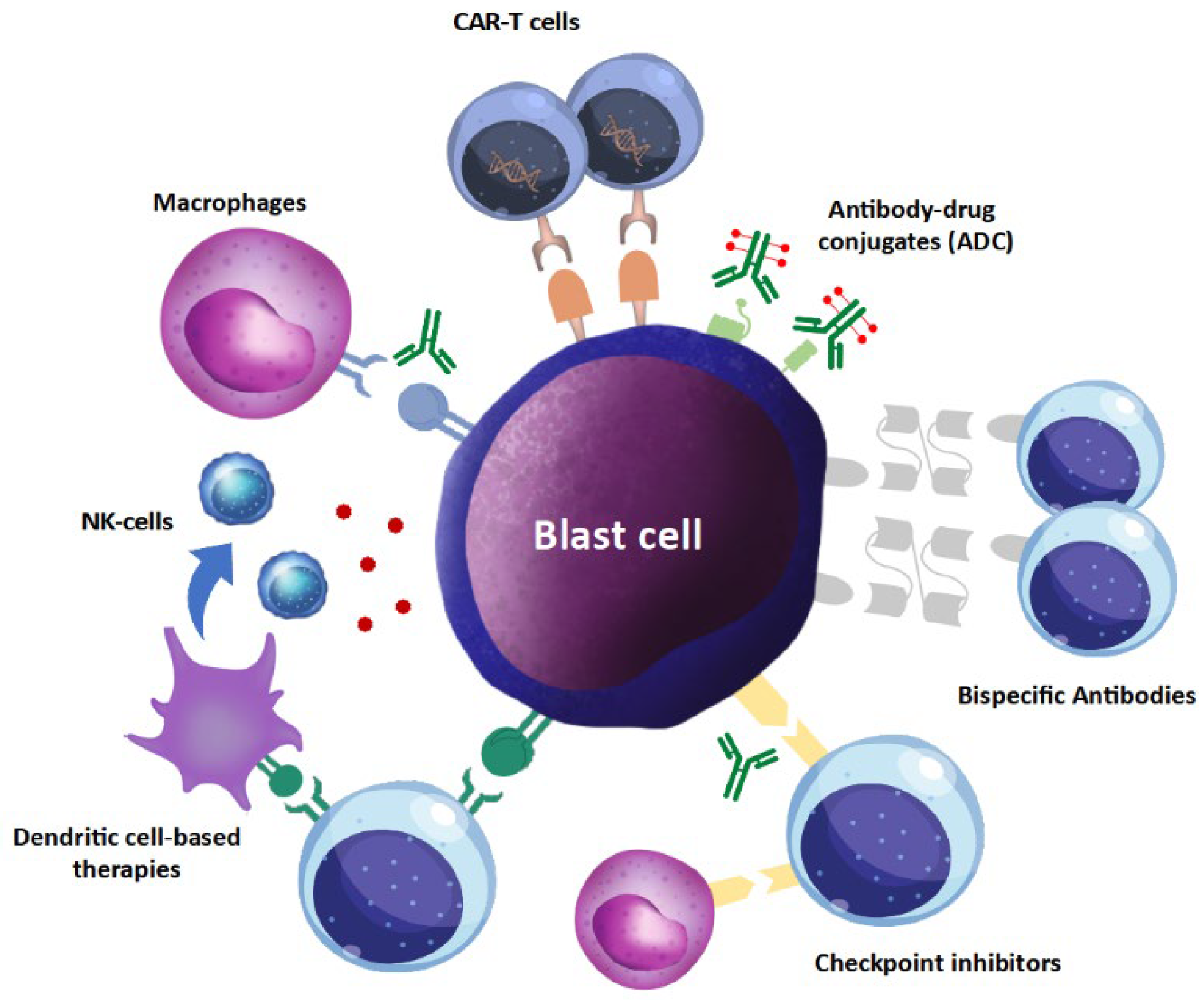 Cancers 14 02994 g002 Cancers 14 02994 g002