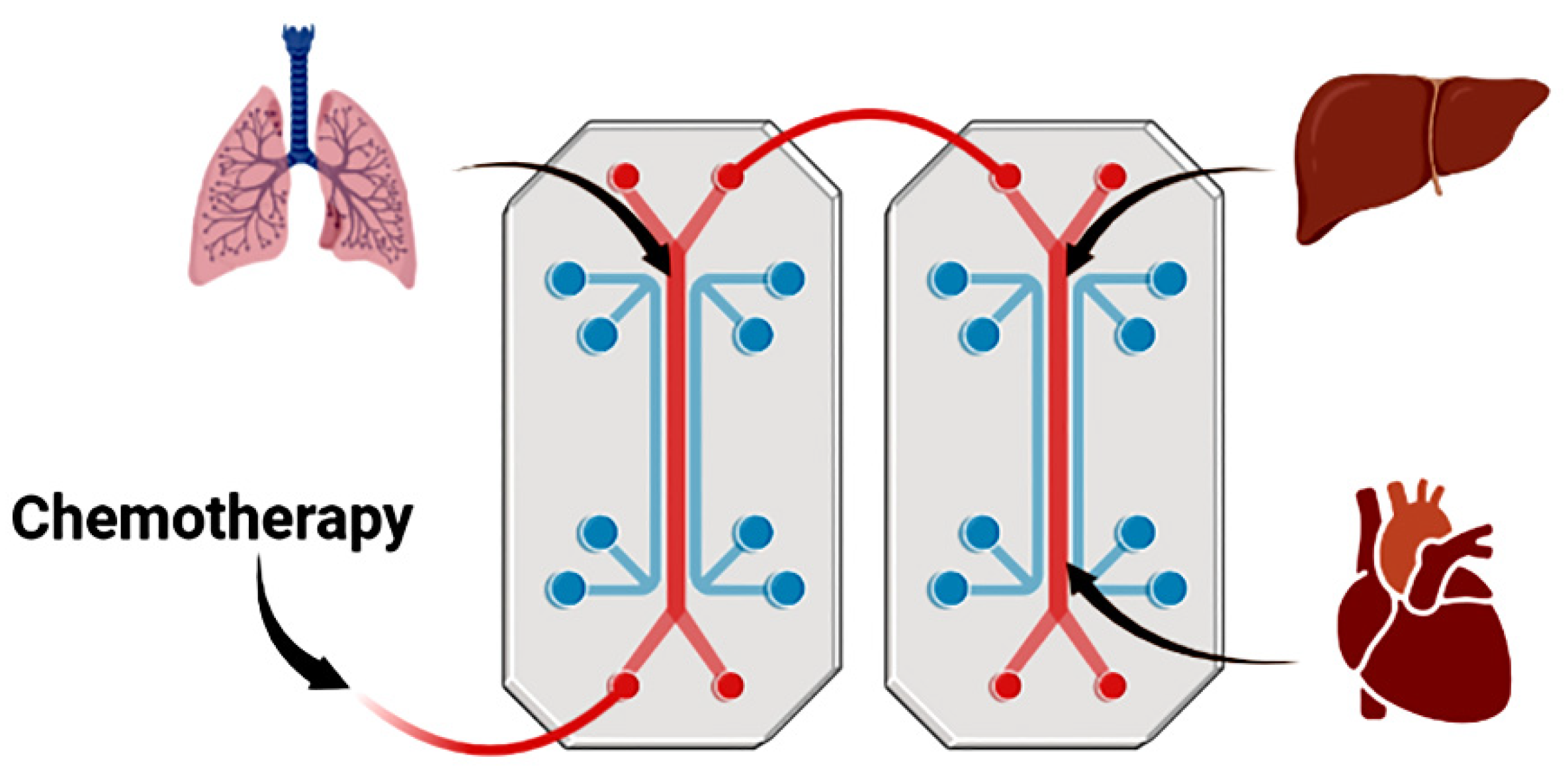 Cancers 14 03006 g003