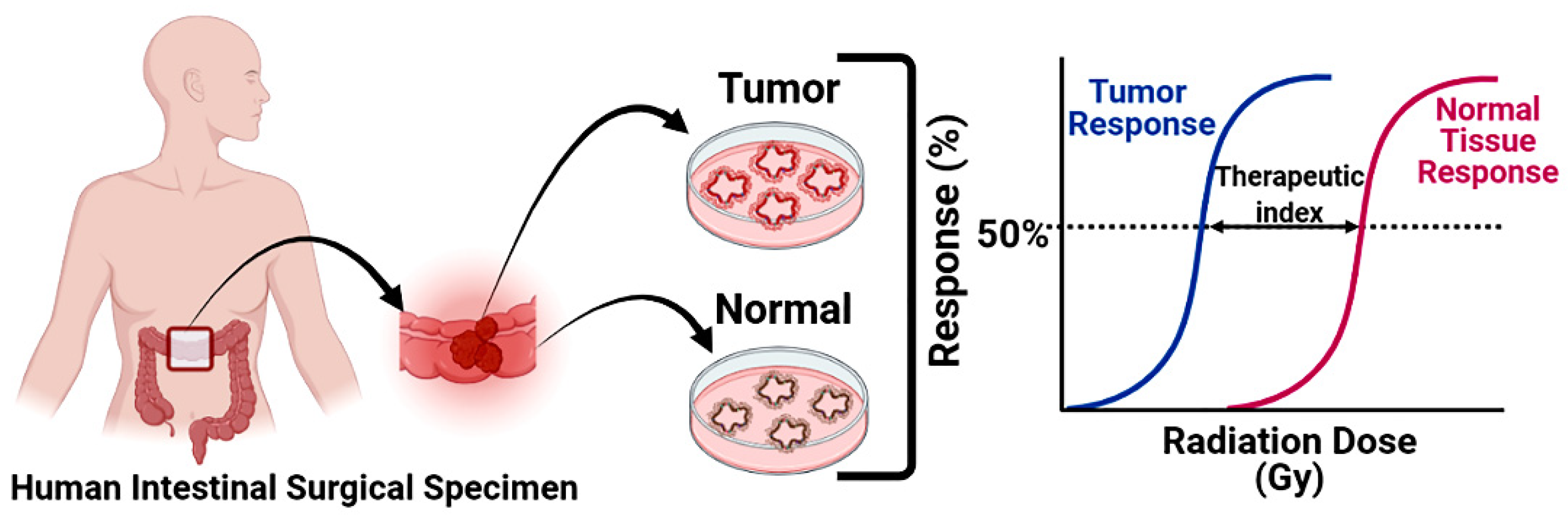 Cancers 14 03006 g005