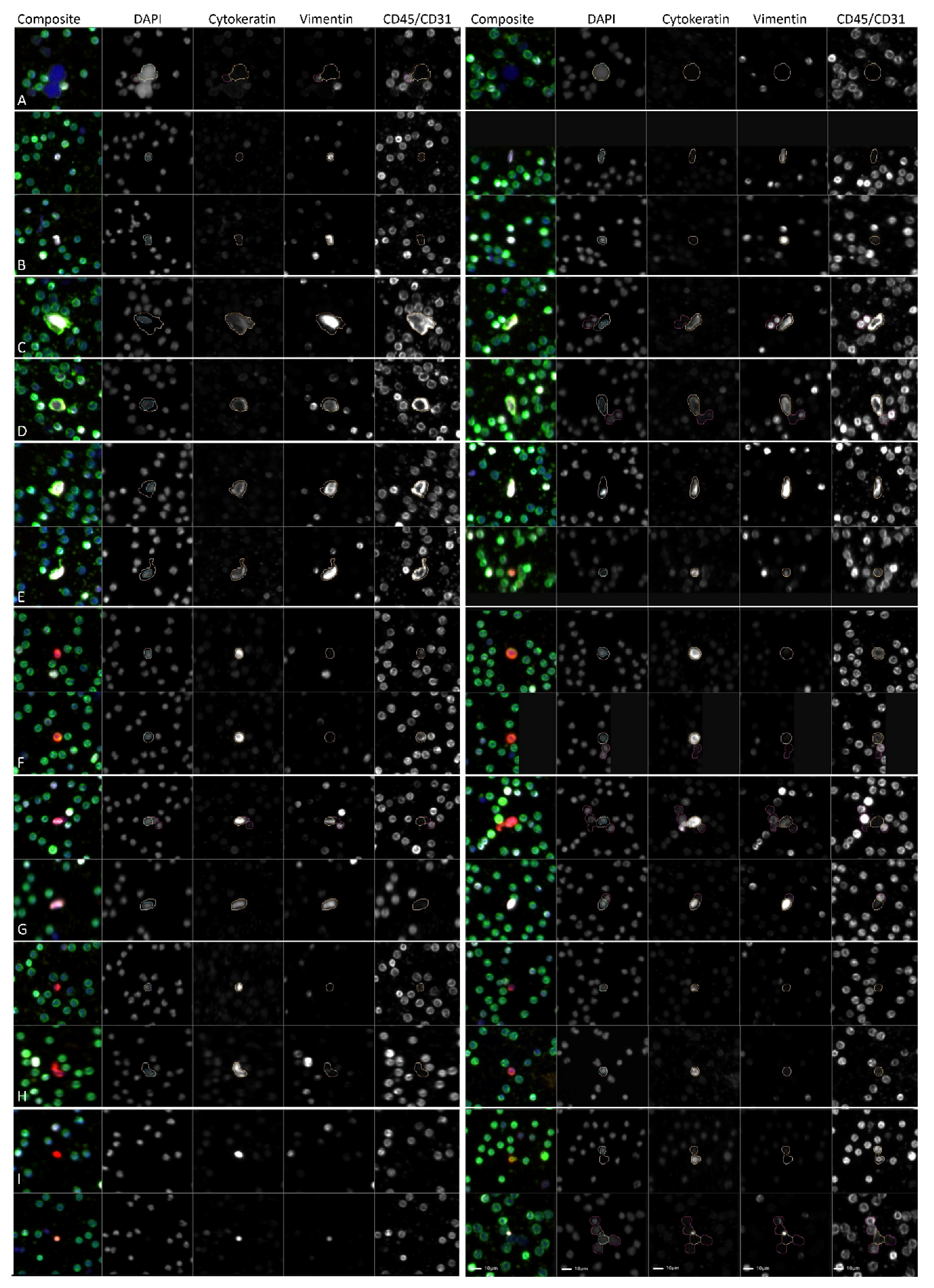 Cancers 14 03007 g001 Cancers 14 03007 g001