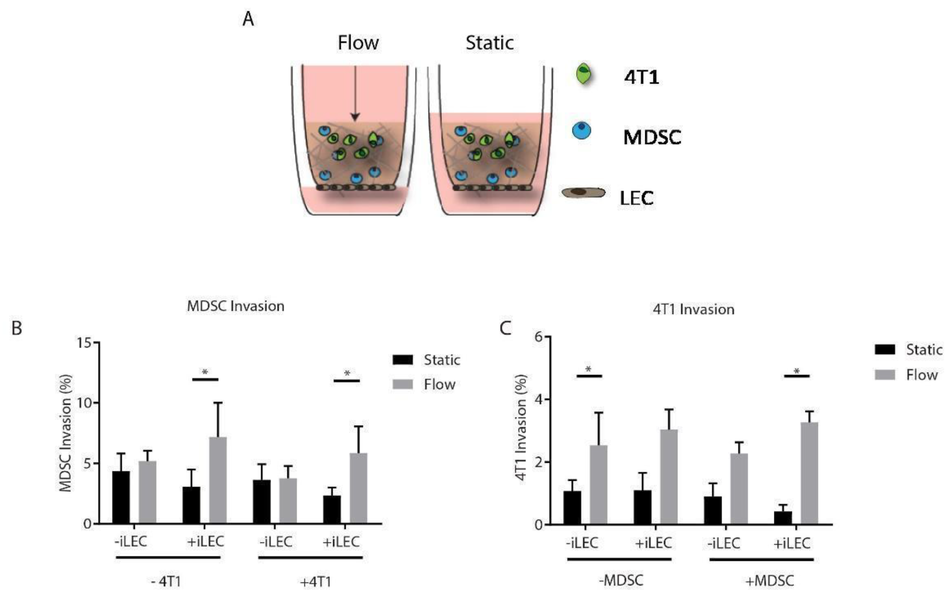 Cancers 14 03008 g004