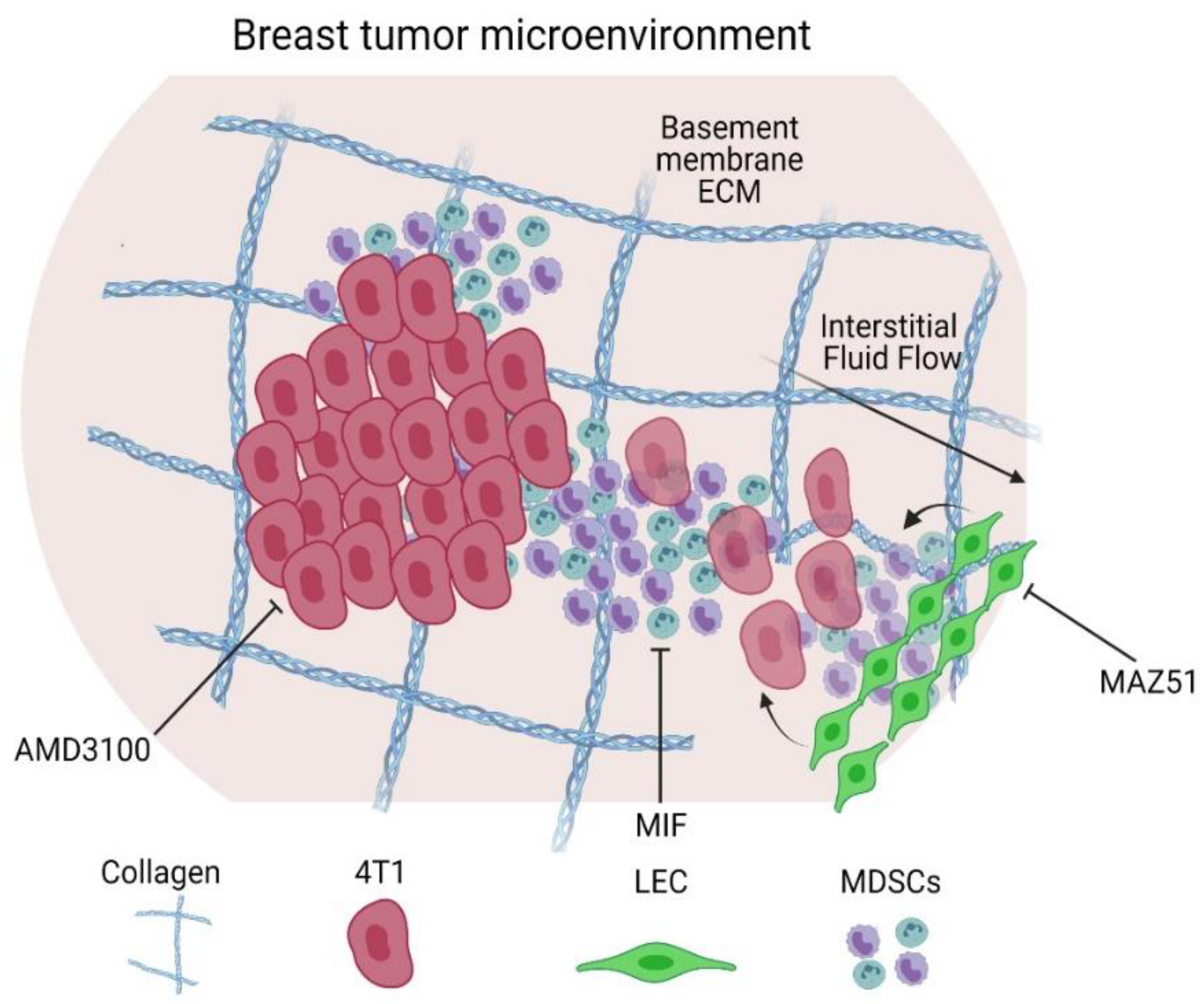 Cancers 14 03008 g006