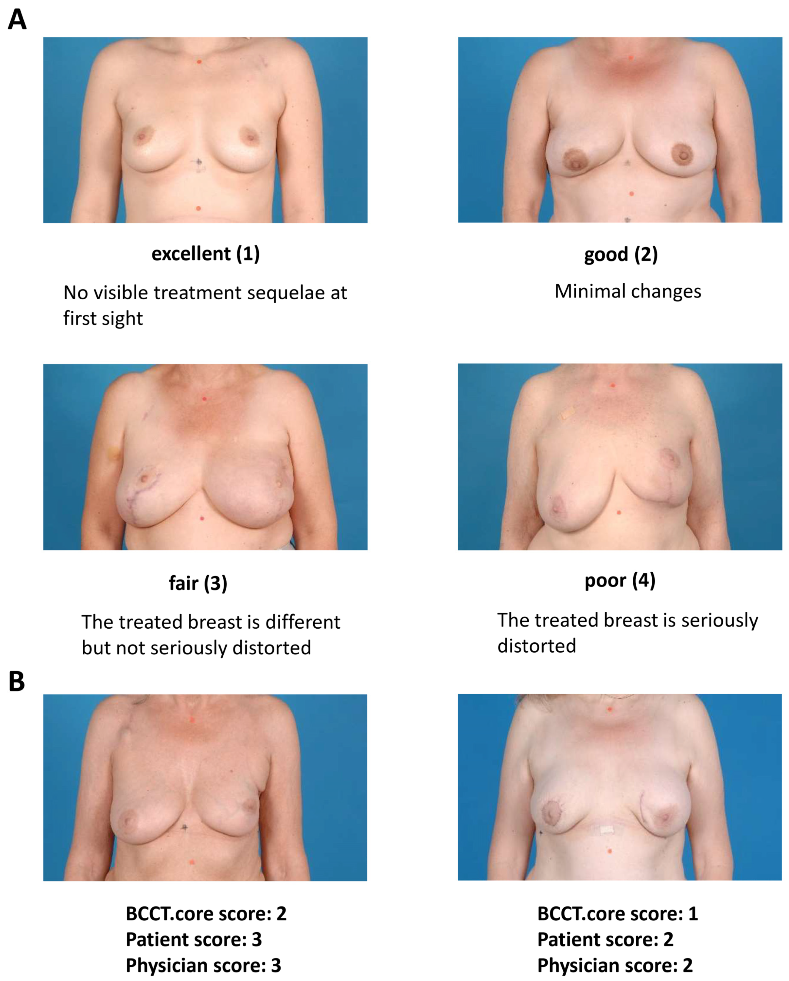 Cancers 14 03010 g001