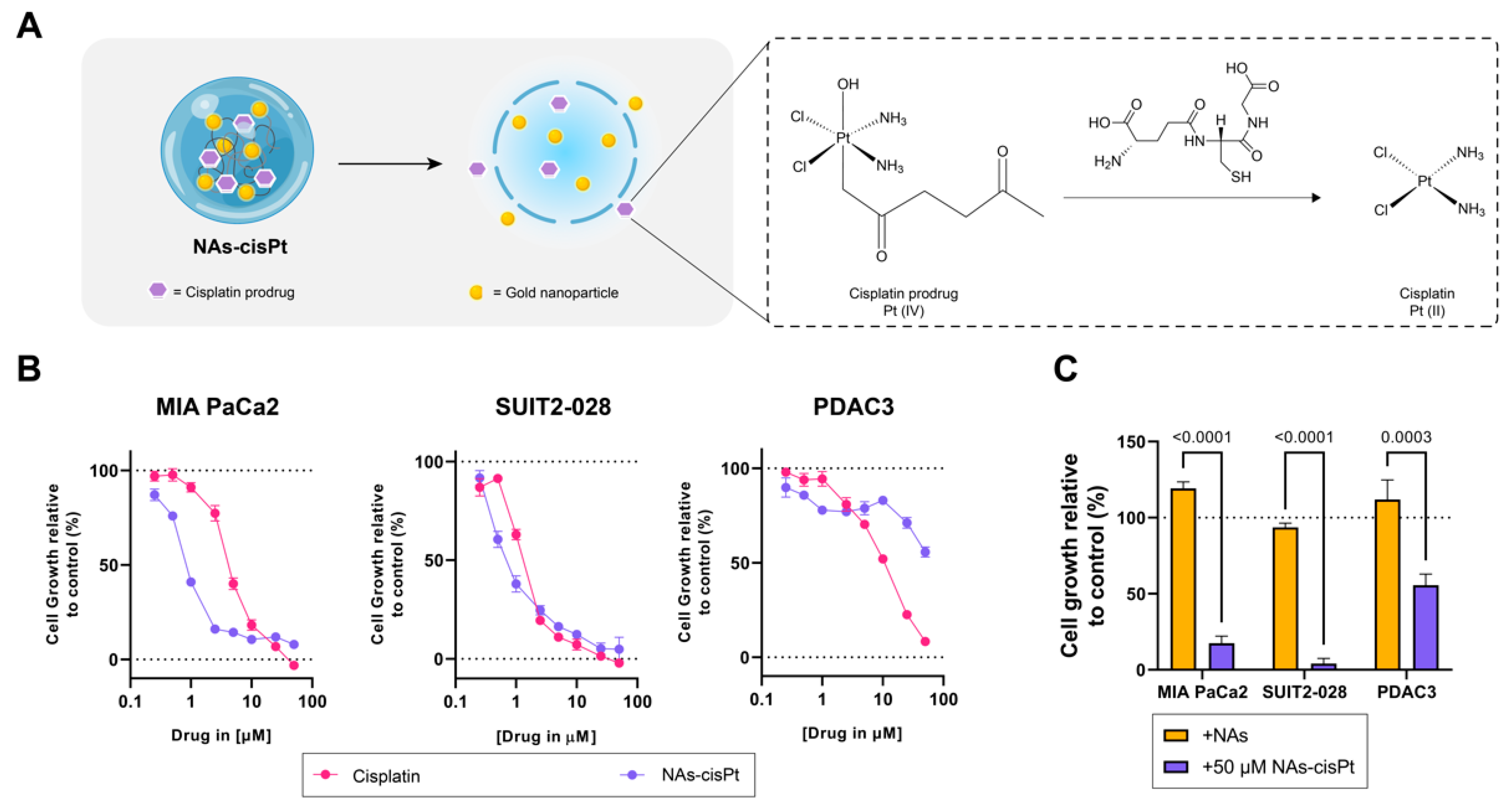 Cancers 14 03034 g001 Cancers 14 03034 g001