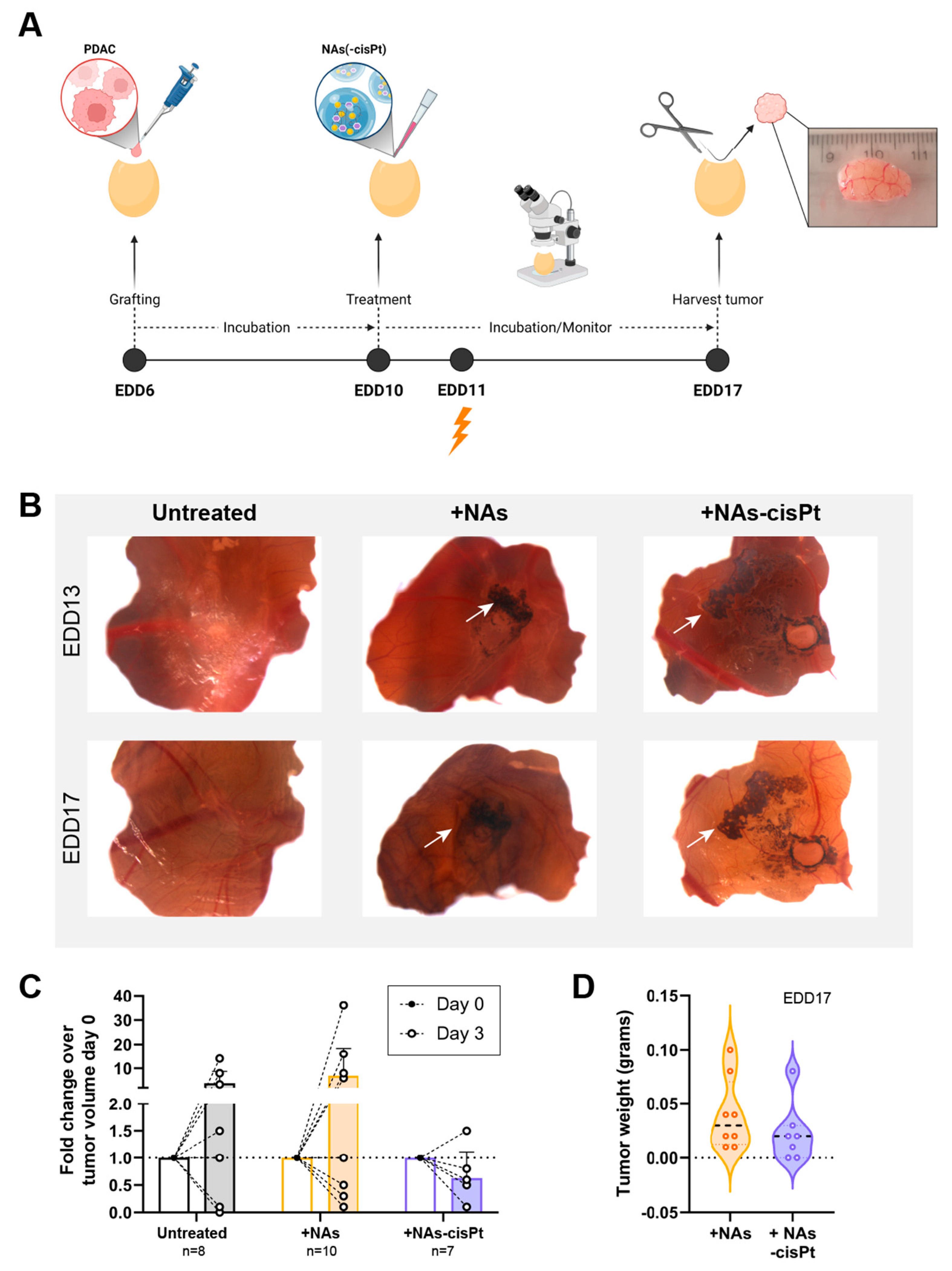Cancers 14 03034 g004 Cancers 14 03034 g004