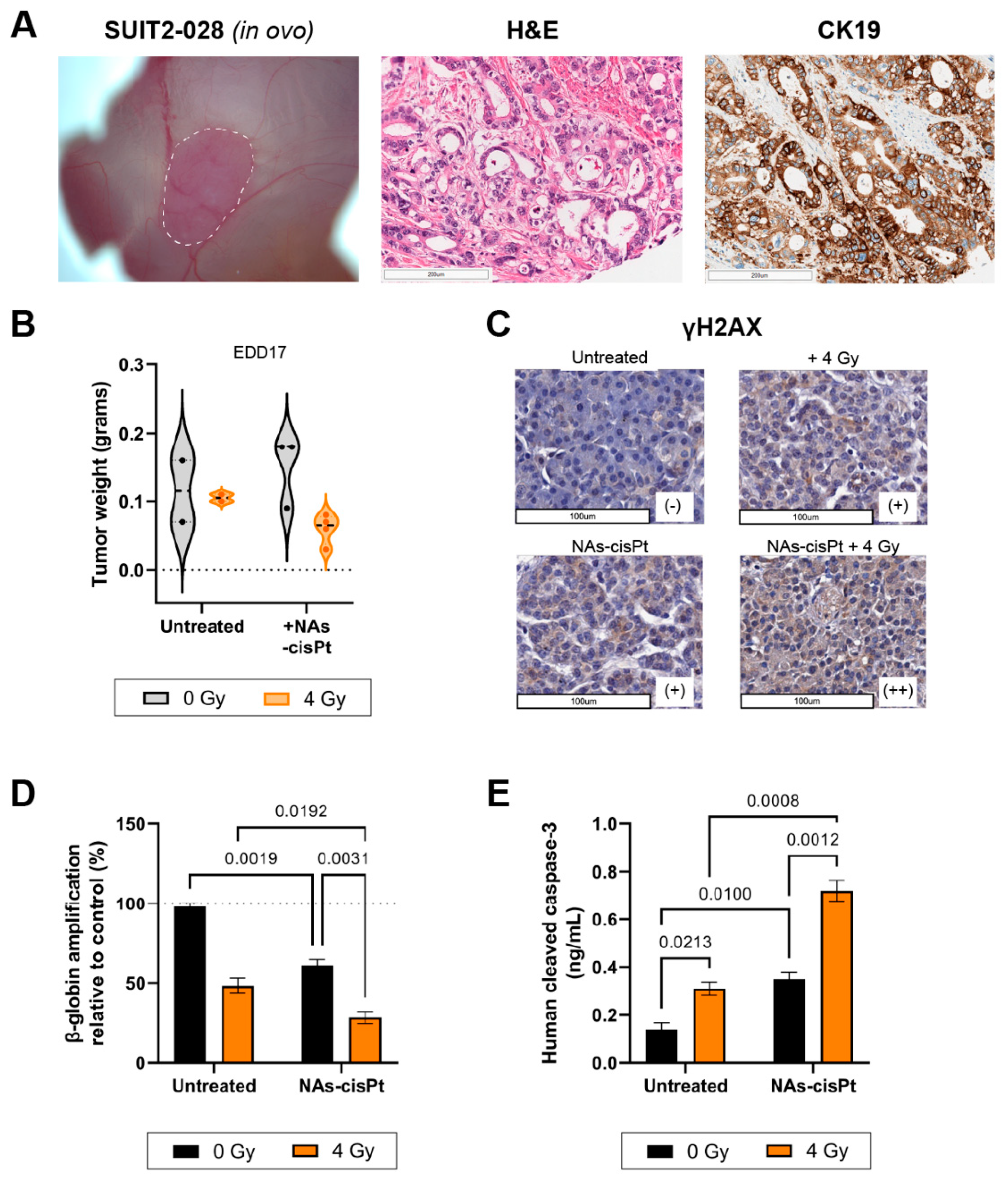 Cancers 14 03034 g005 Cancers 14 03034 g005