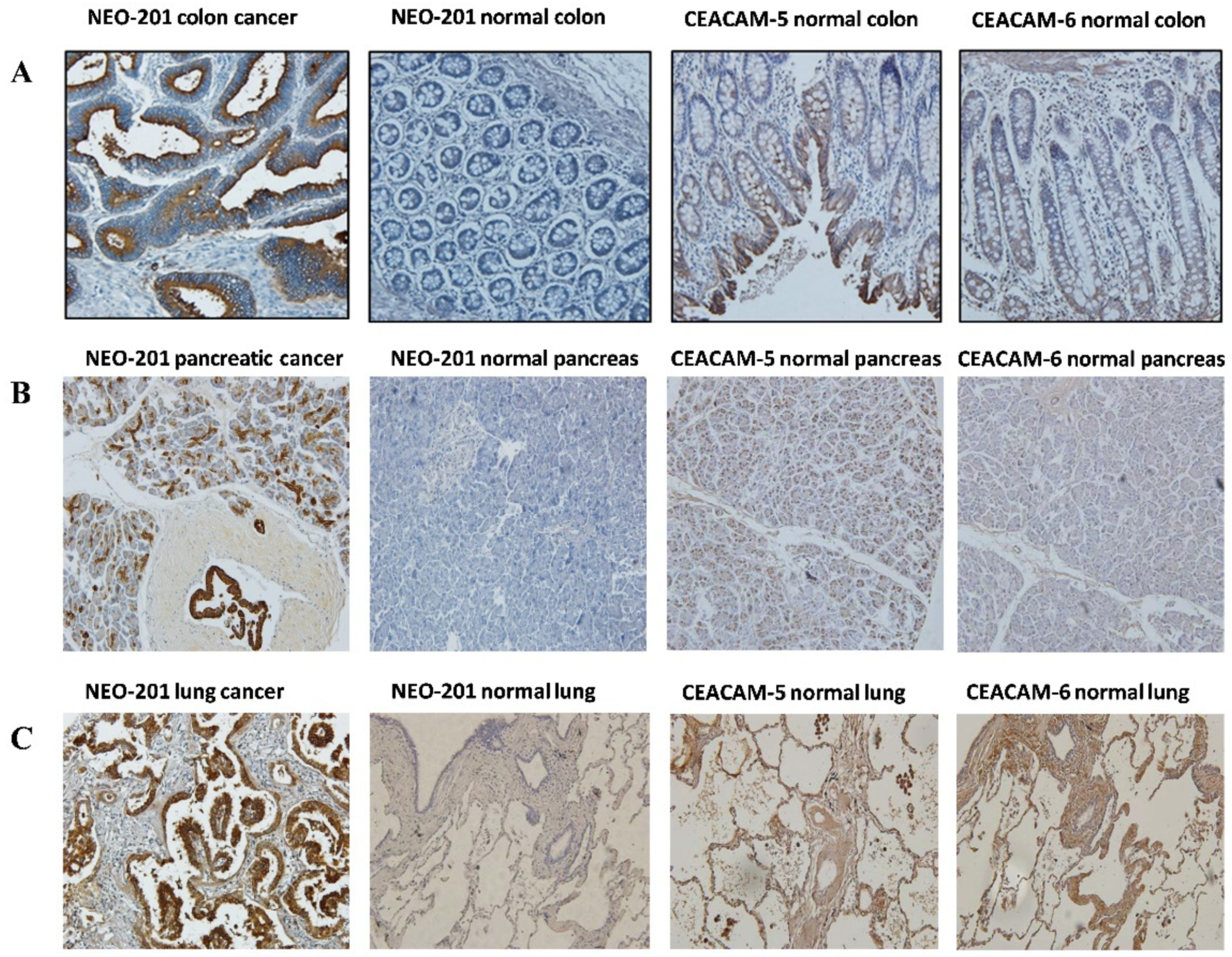 Cancers 14 03037 g002 Cancers 14 03037 g002