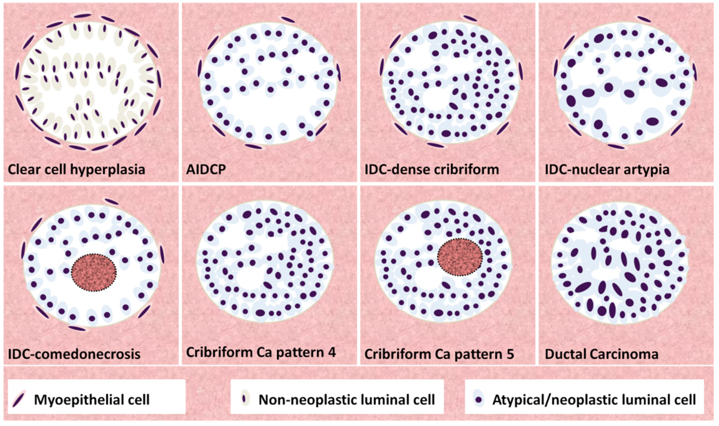 Cancers 14 03041 g006