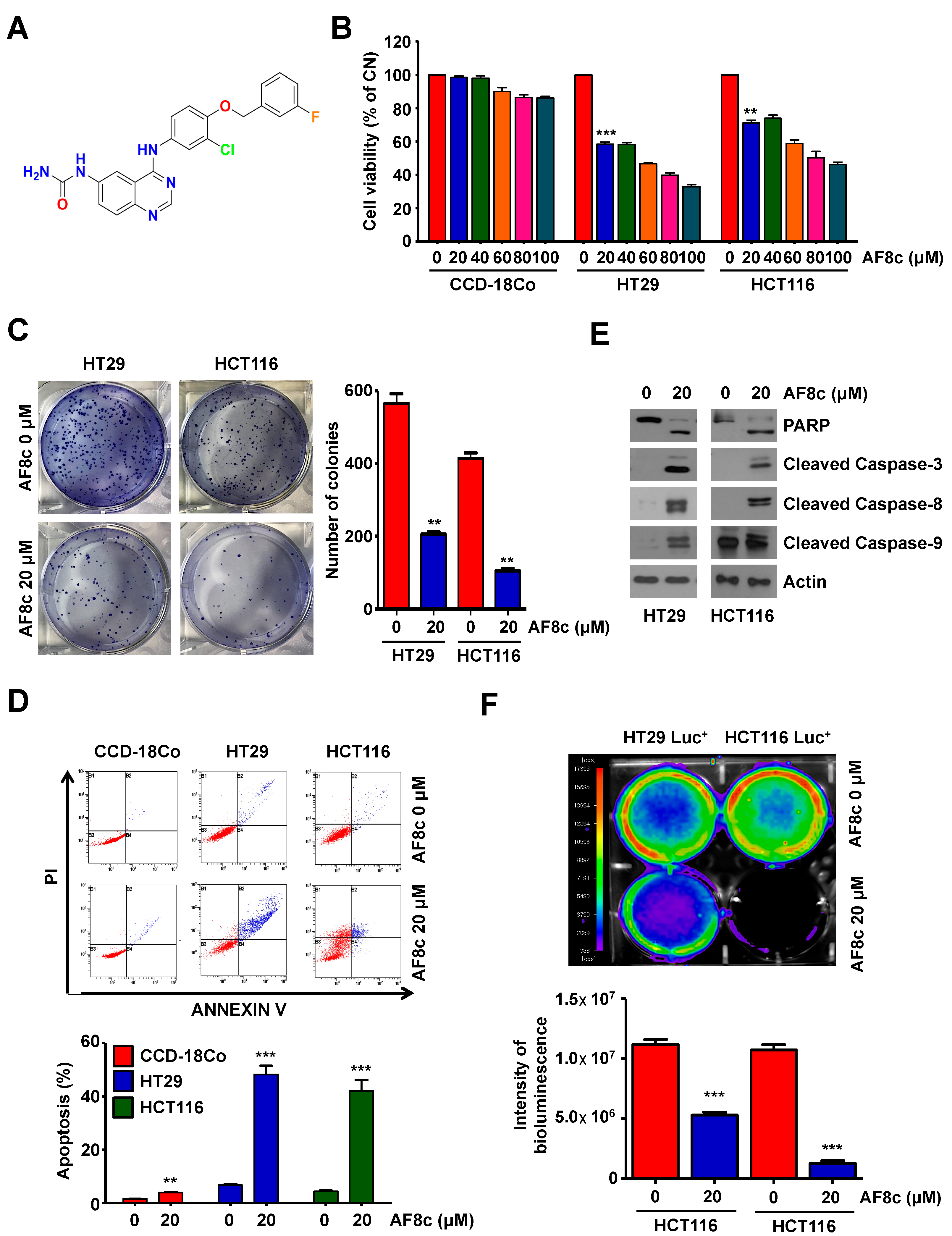 Cancers 14 03043 g001 Cancers 14 03043 g001